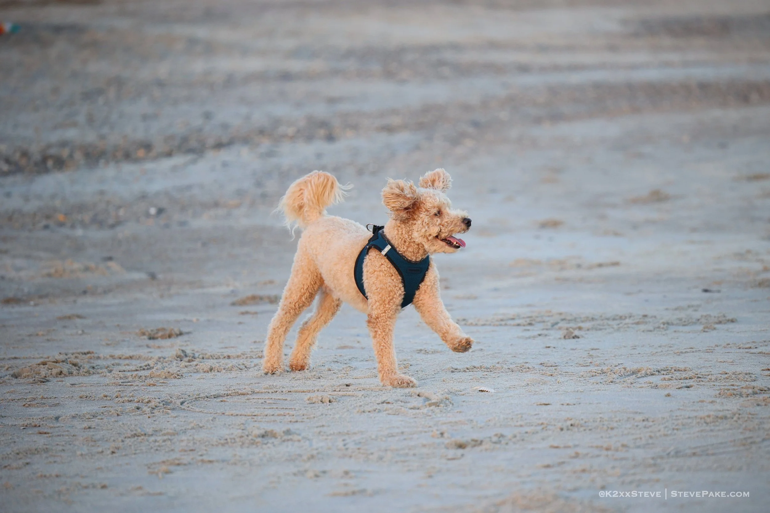 OBX222-158_R6SP1919-QHD.JPG