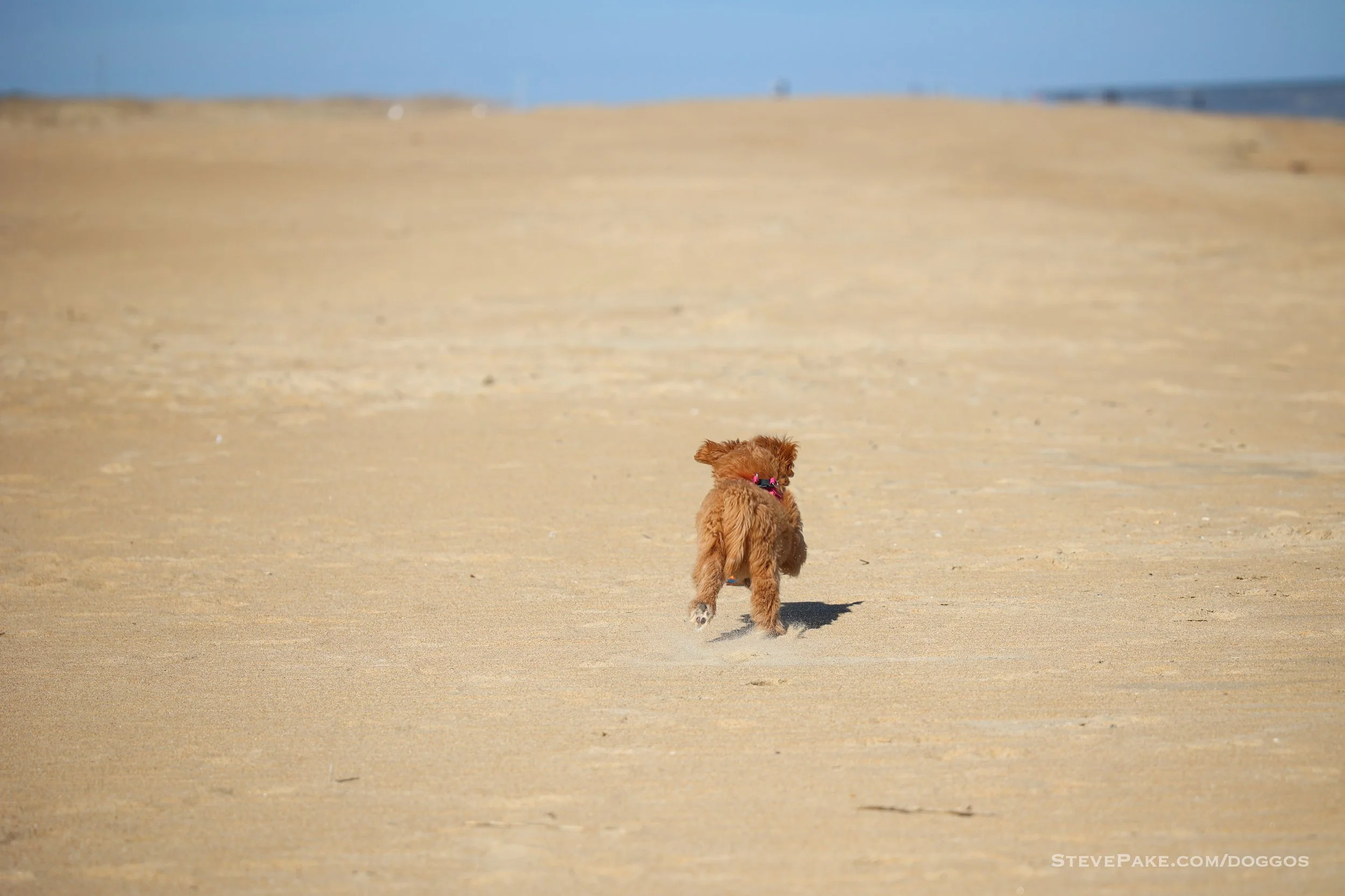 VAB23-02-PufflesRayaExtended_45_R6SP5505-QHD.JPG