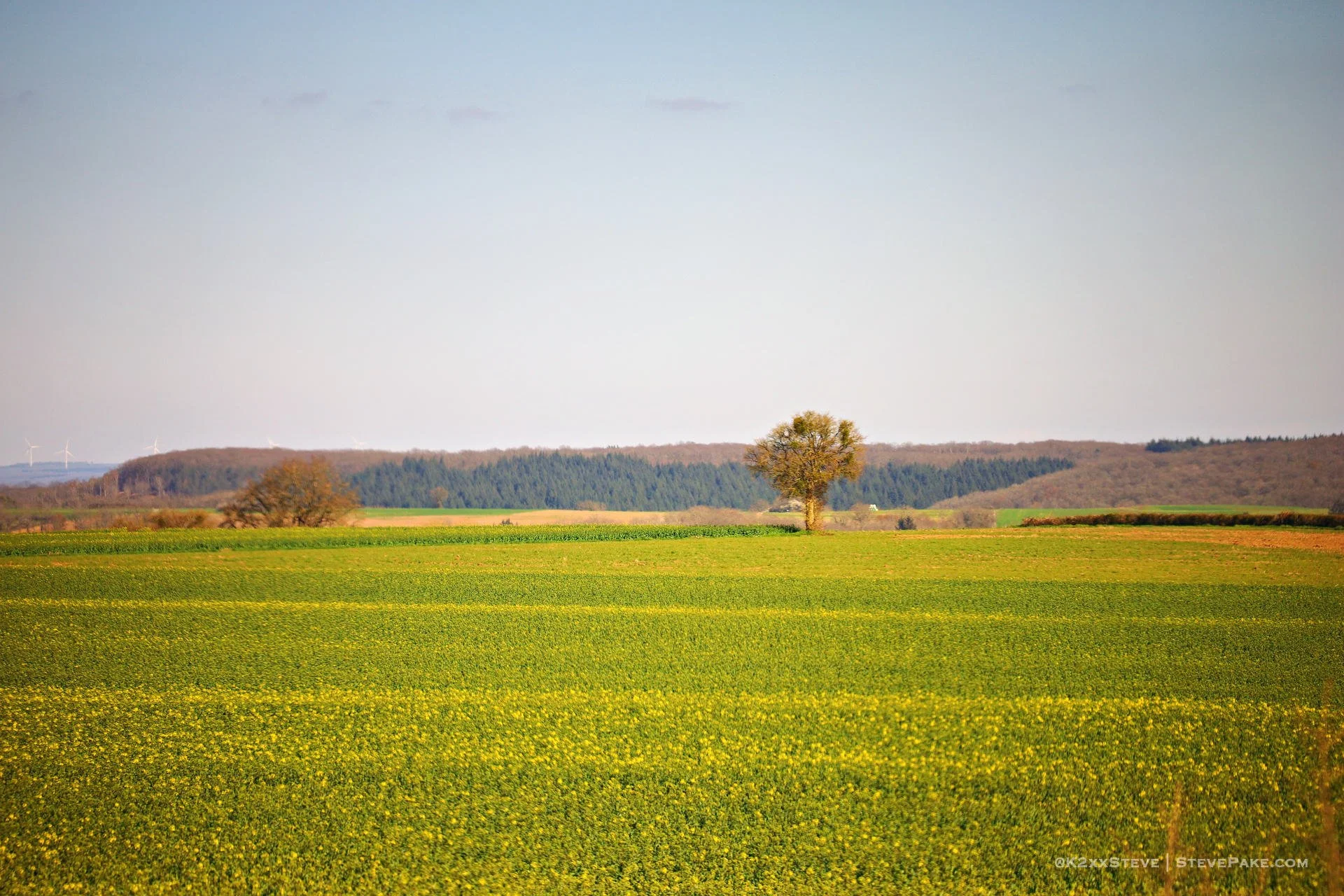 FrenchCountryside-7-49_IMG_8627_Radiant-HD.JPG