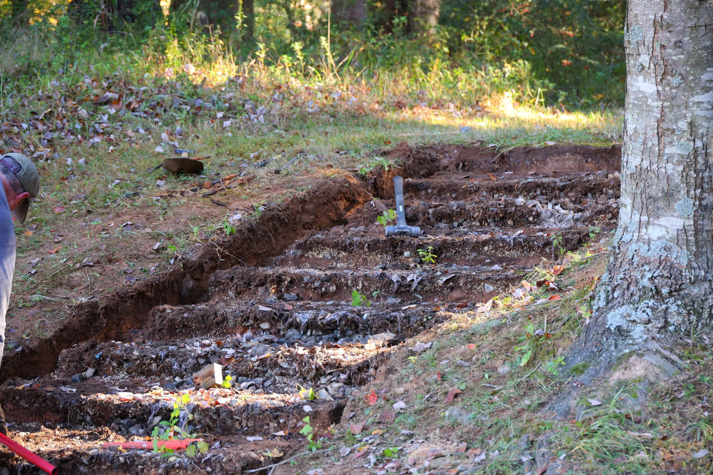wpeagle_20261024T102119_IMG_2571-QHD.JPG