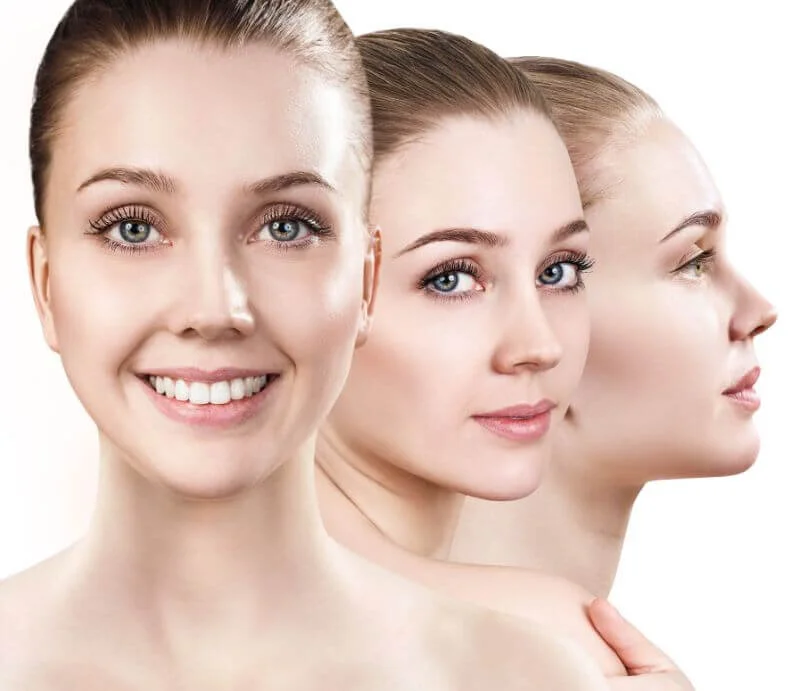 berberine powder,supplier berberine powder,supplier