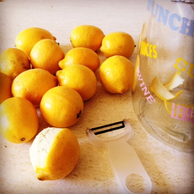 Spring is in the air!