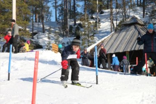 Skileikområde (frå Instedalen.no)