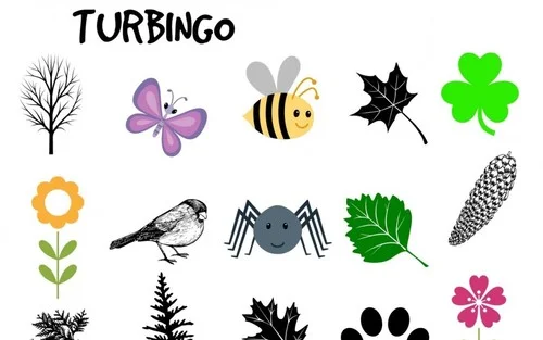 Turbingo