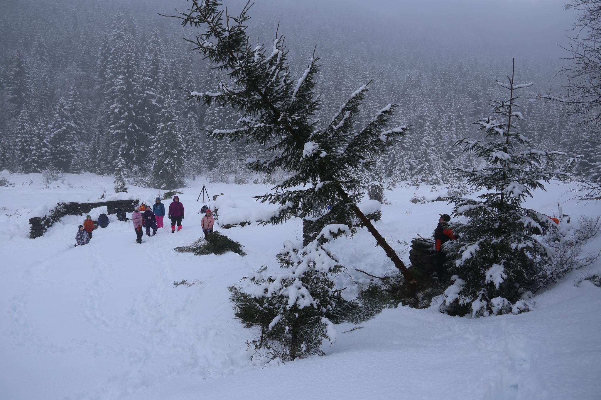 troda snø.jpg