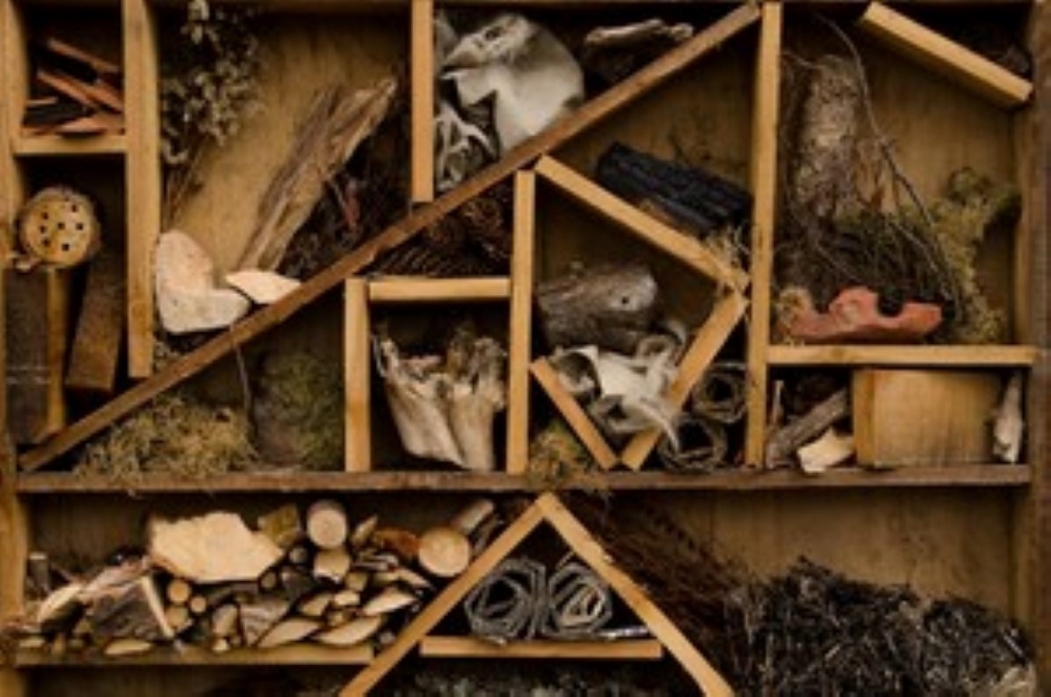 Foto: Randers Naturcenter