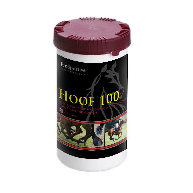 Hoof 100 - Support and Maintain Healthy Hooves 