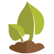 Leaf Icon_LS pg-01.png