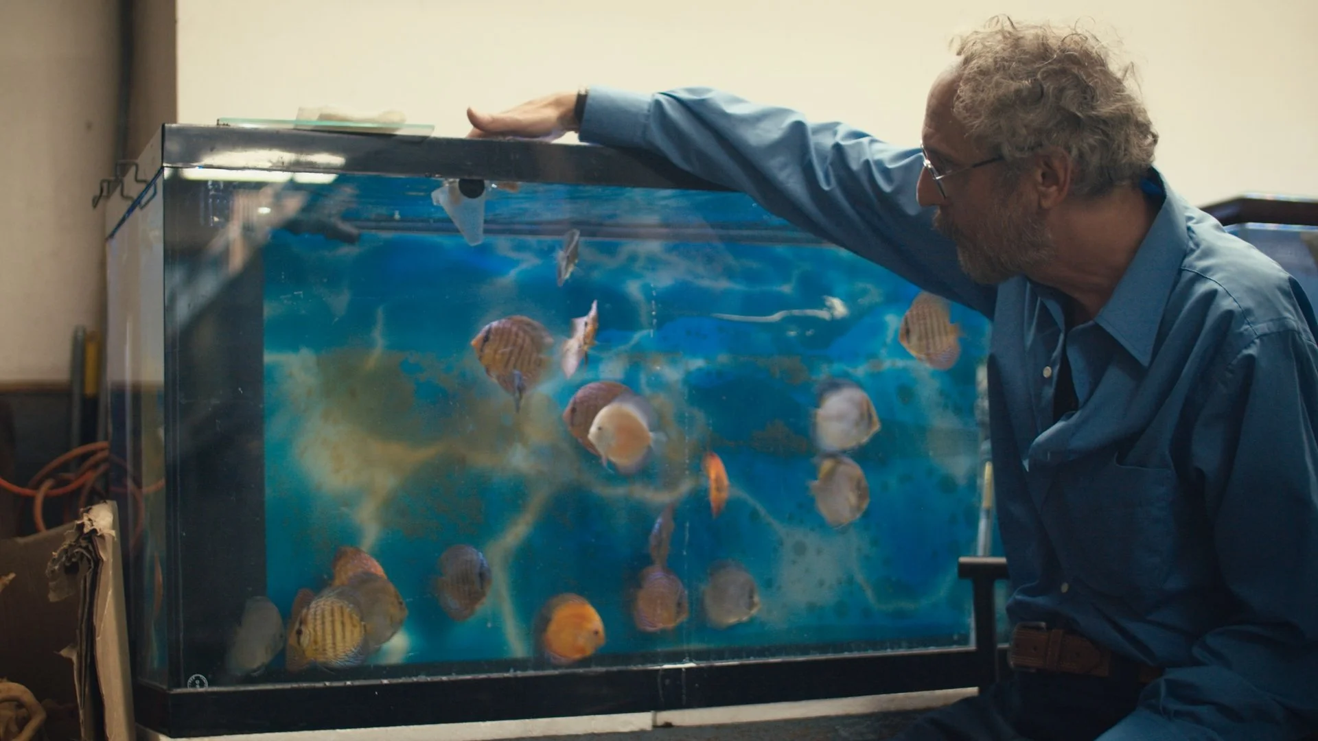 Still 2026-01-07 123919_1.1.5.jpg