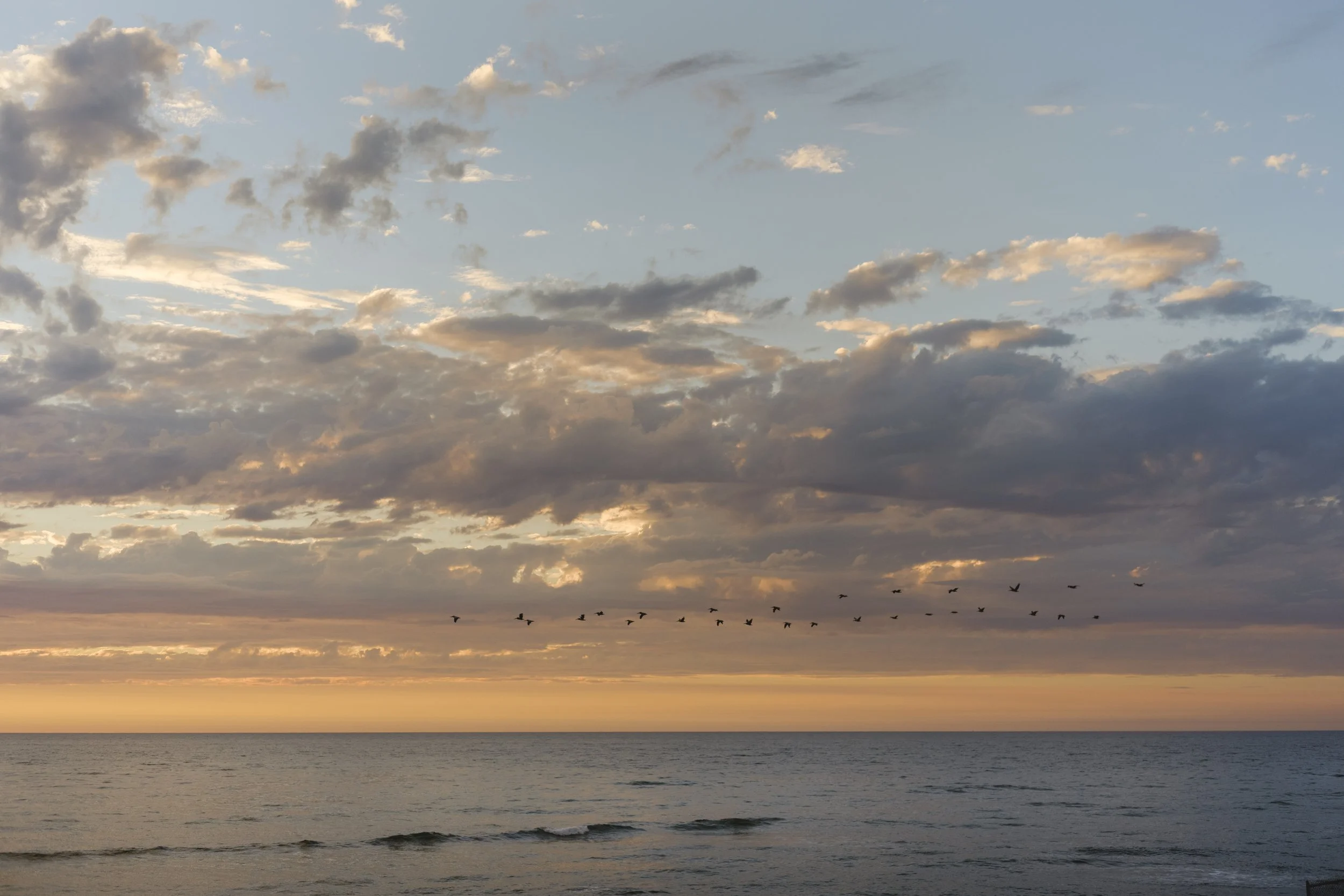 Sunset Beach, San Diego #1