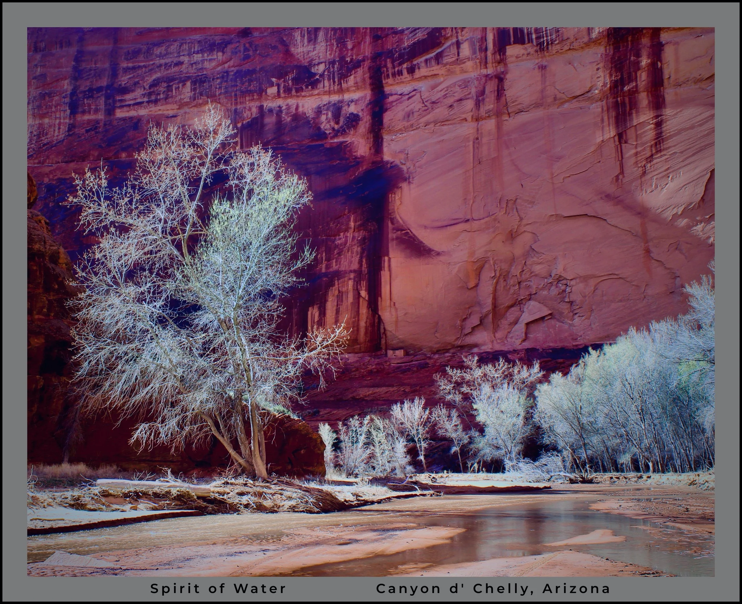 IMG_0487 (6) logo.jpg