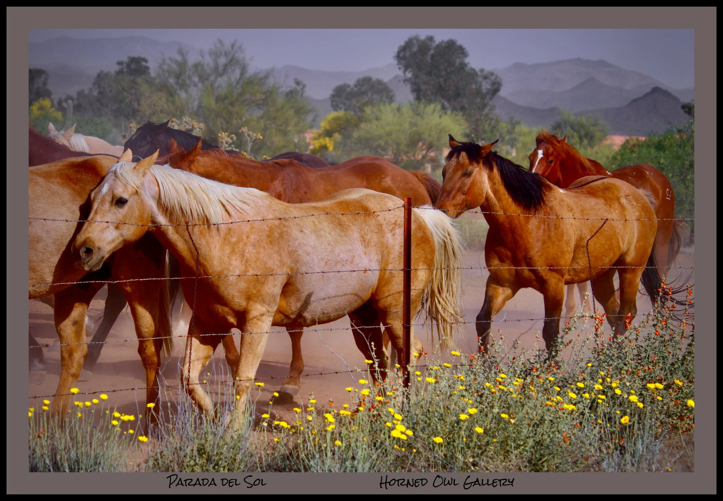 IMG_1680 (1) logo.jpg