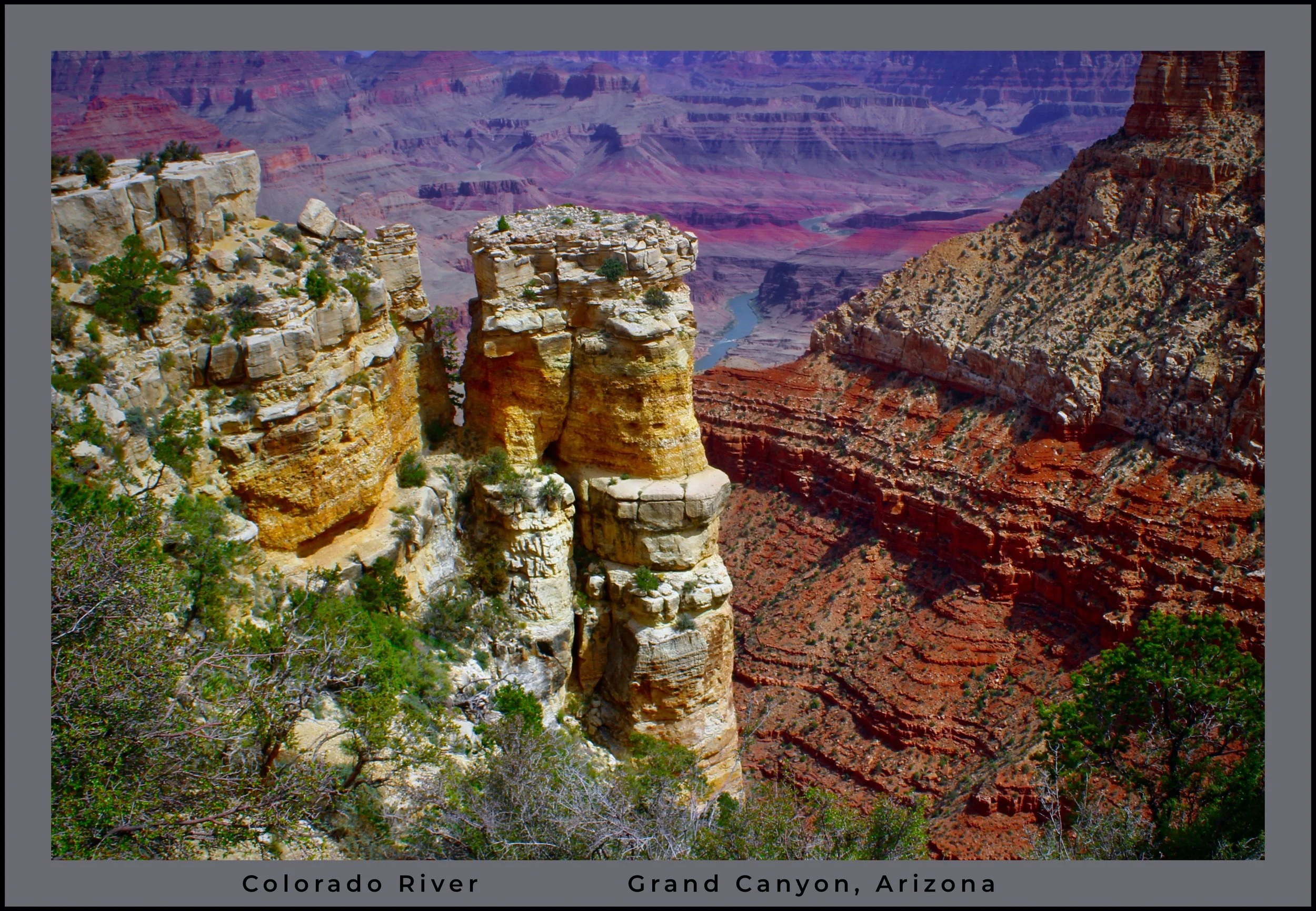 IMG_5209 (1) logo.jpg