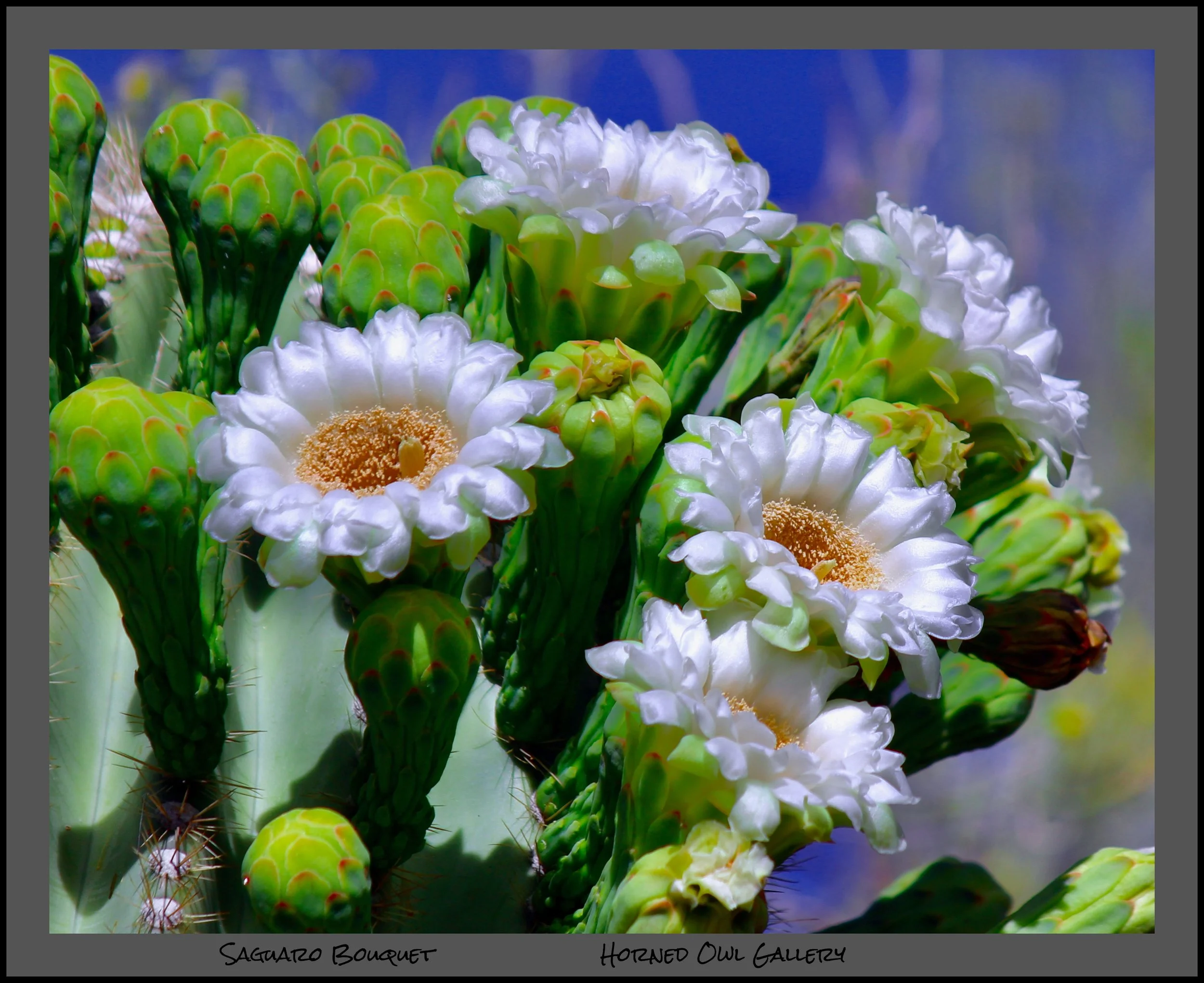 IMG_4275 (1) logo.jpg