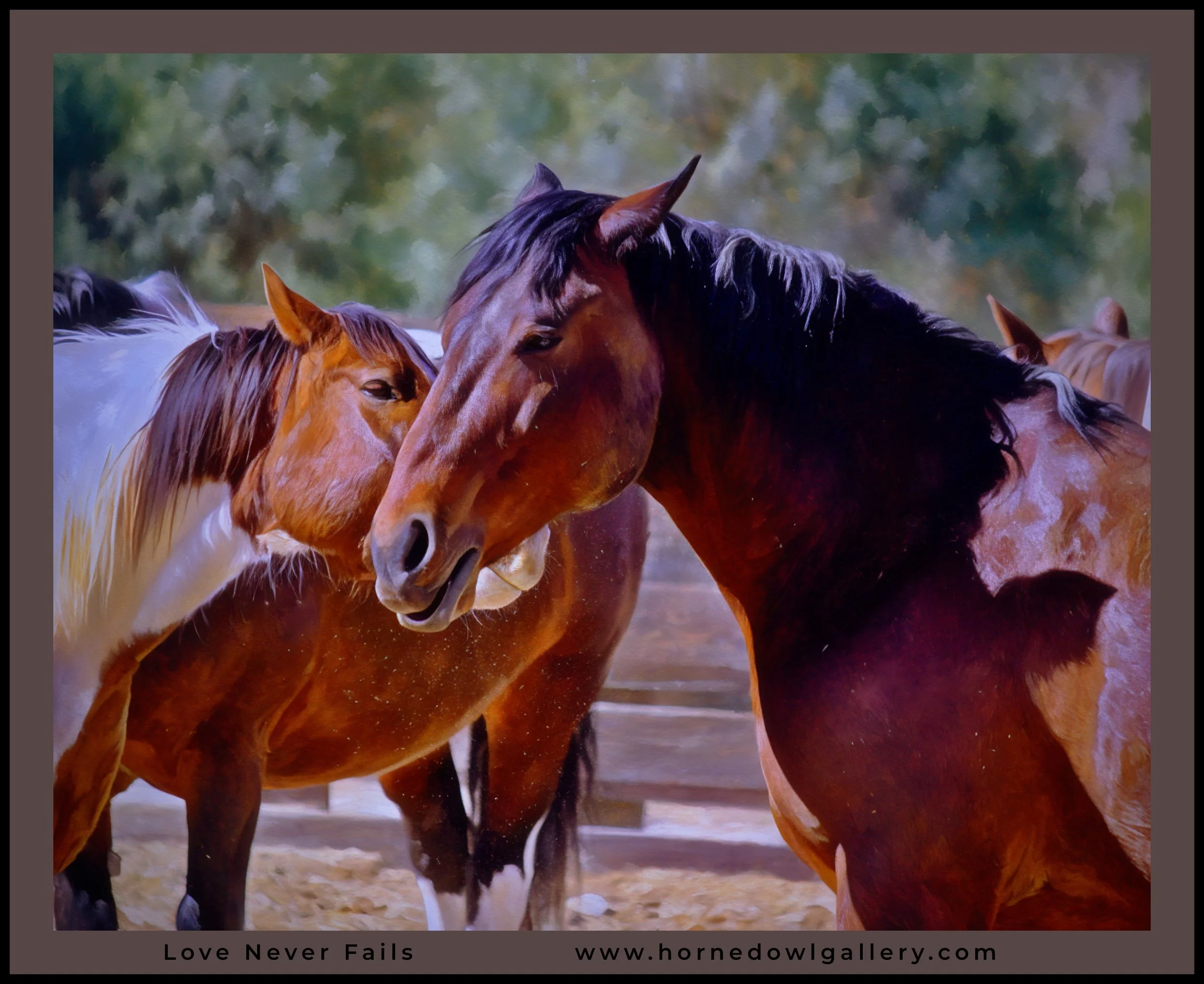 IMG_2956 (6) logo.jpg