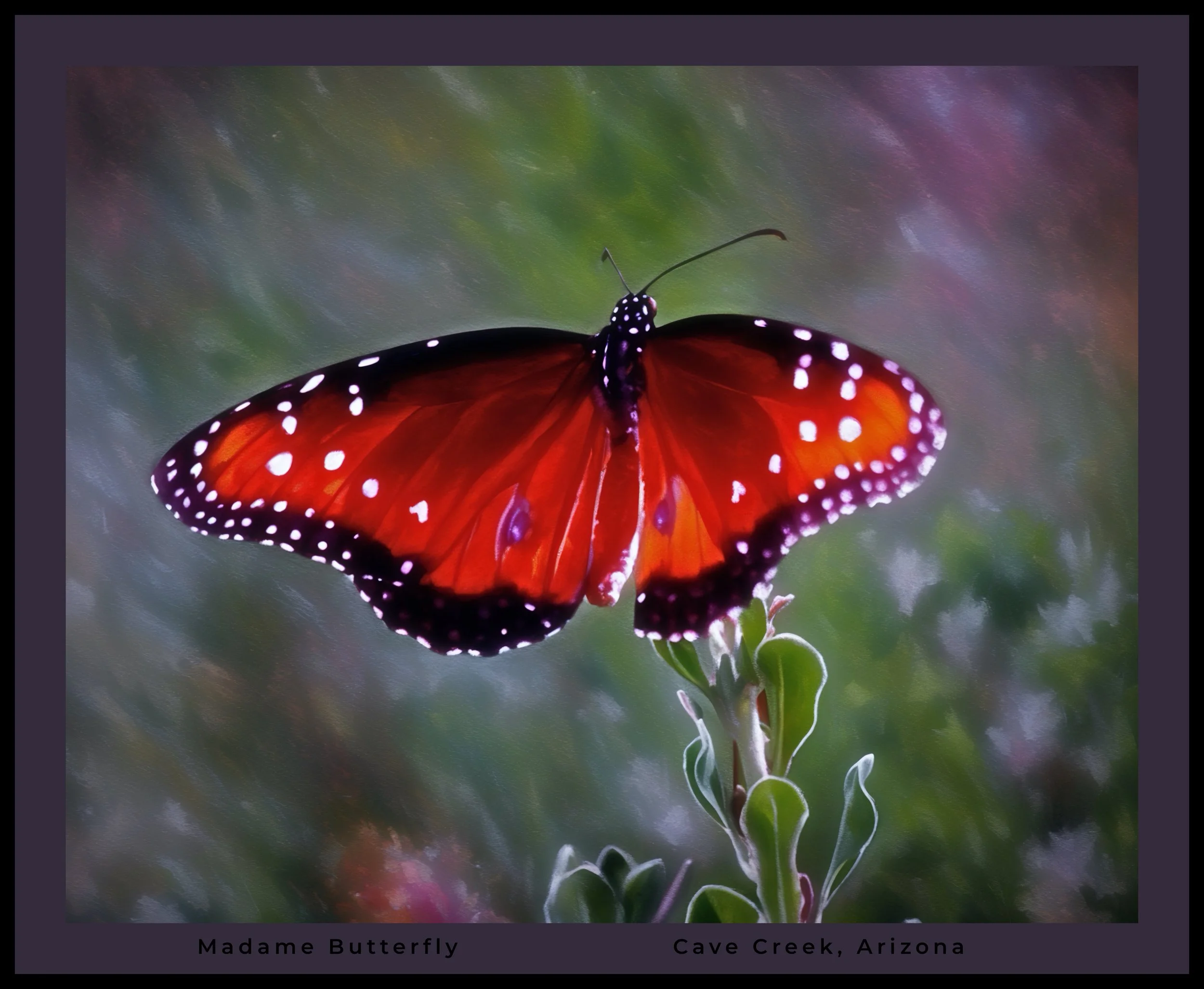 IMG_4706 (2) oil logo.jpg