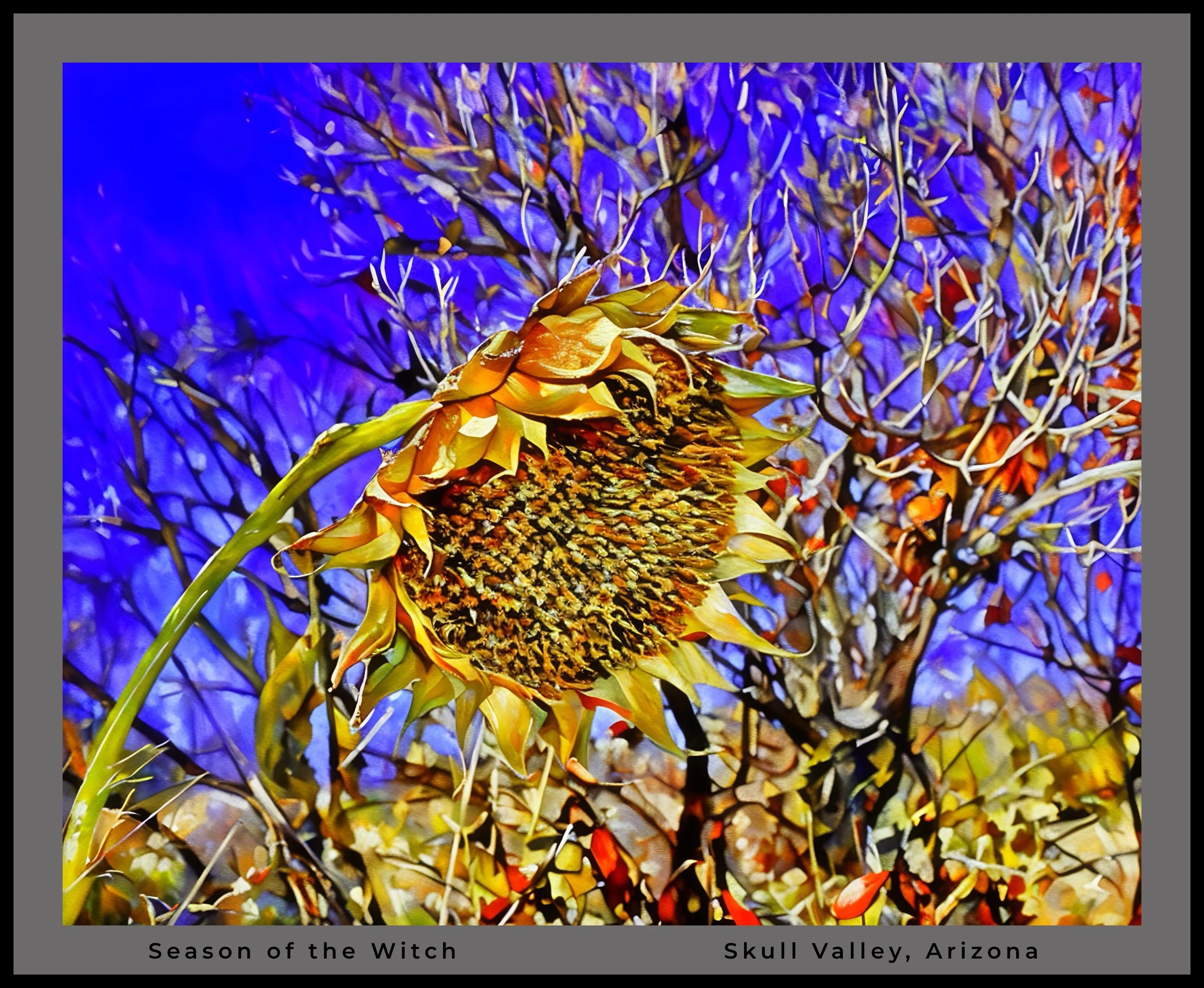 IMG_5388 (7) oil logo.jpg