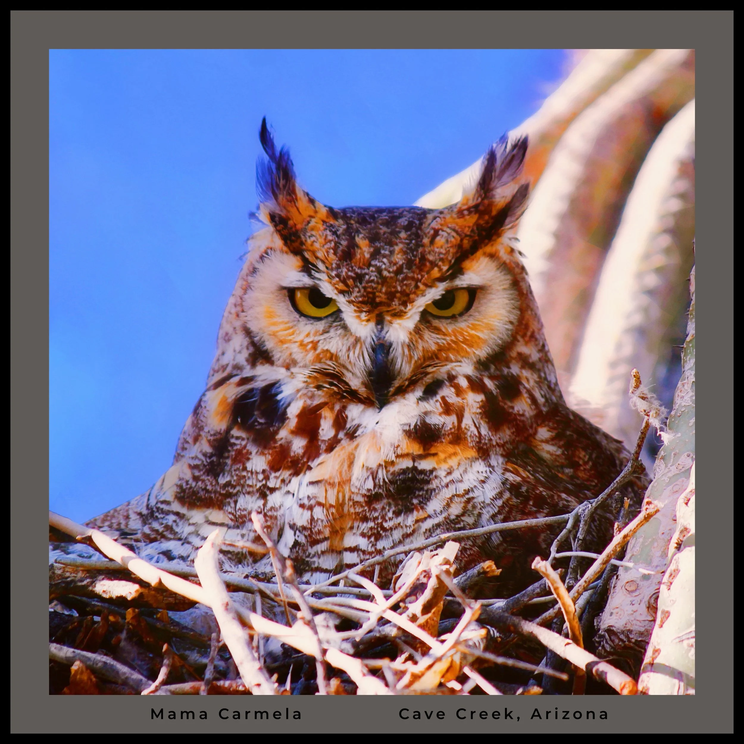 IMG_6743 (8) 1x1 master logo.jpg