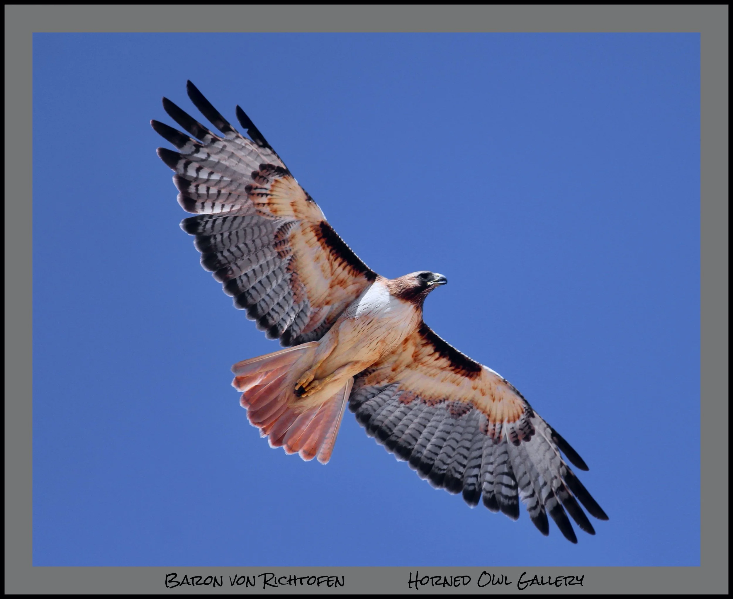 IMG_8456 (33) logo-2.jpg