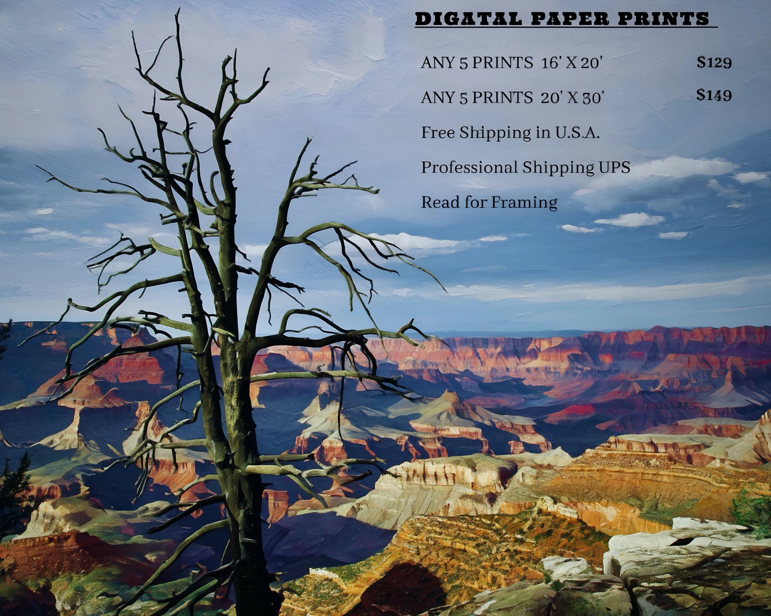 IMG_4575 (1) paper prints-2.jpg