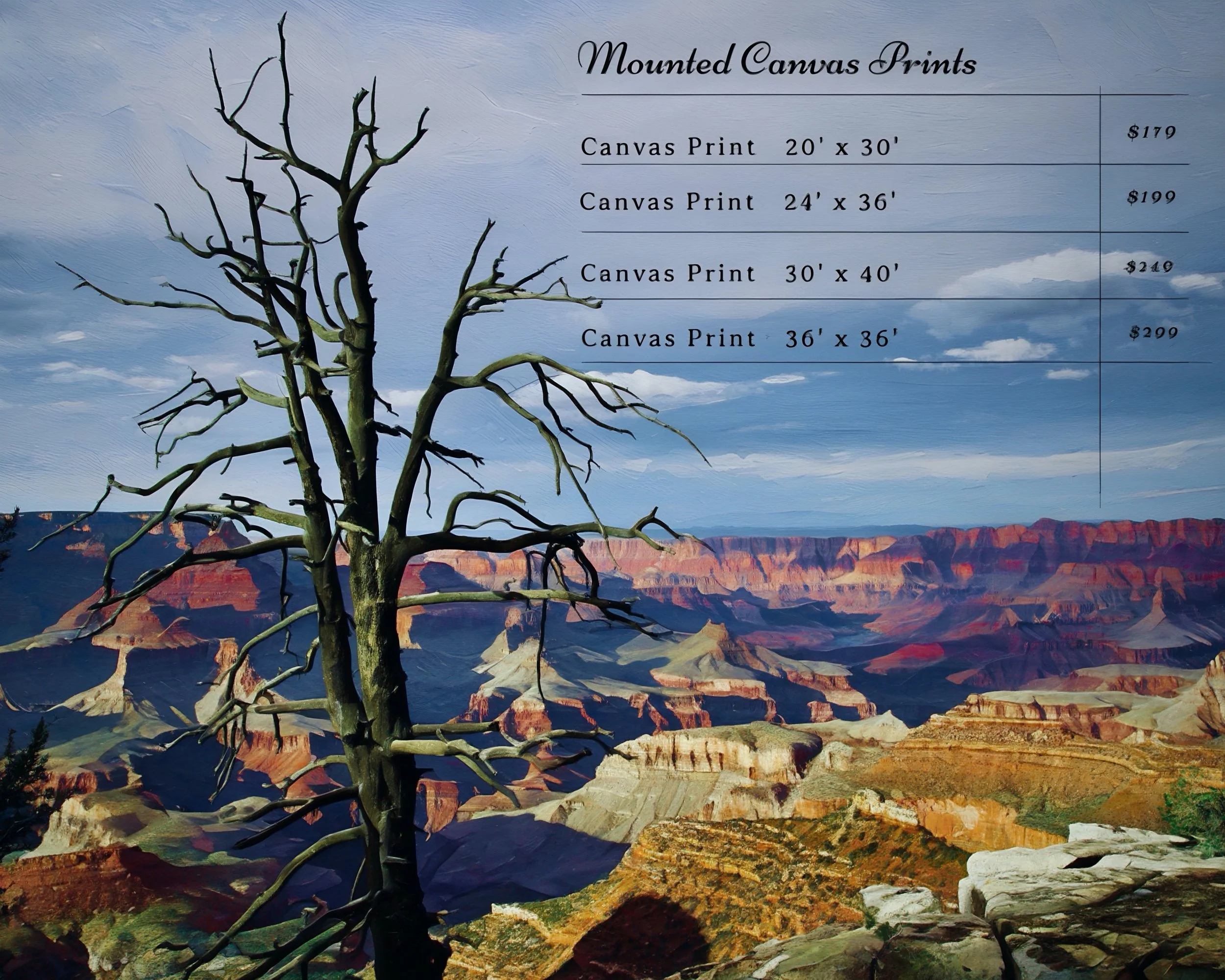 IMG_4575 (1) canvas prices-2.jpg