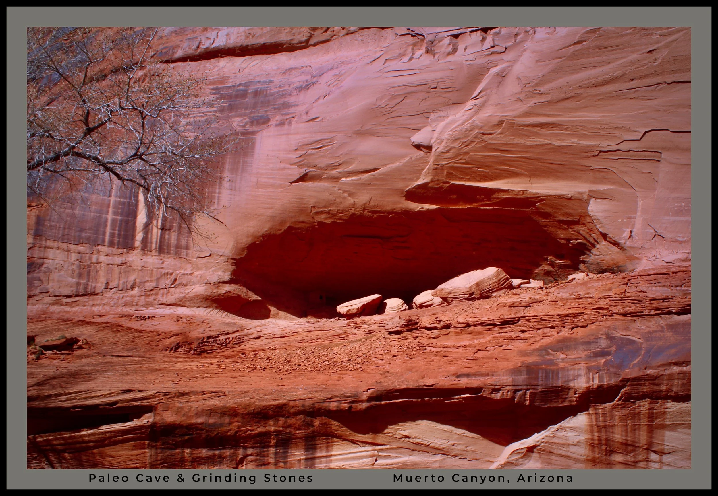 IMG_0442 (1) logo.jpg