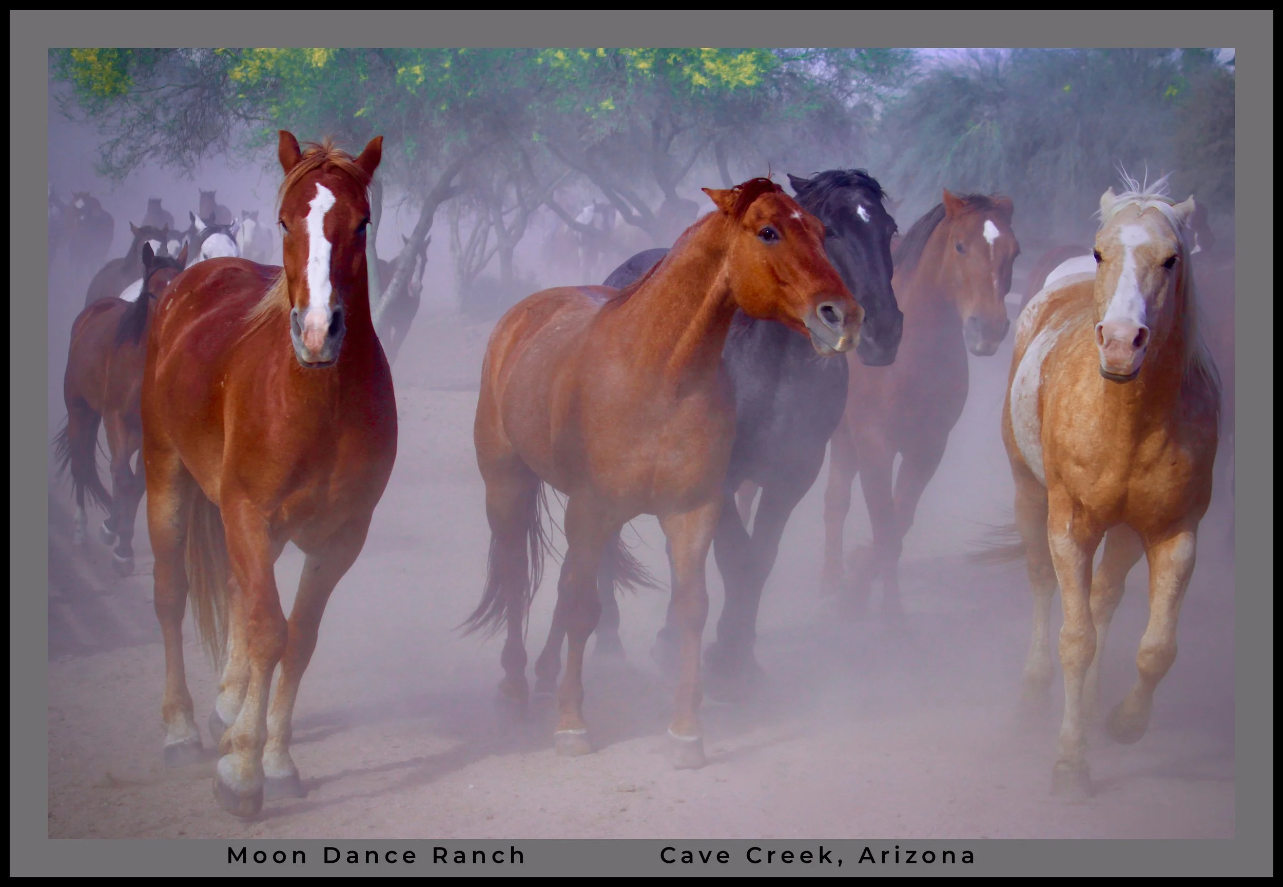 IMG_8601 (1) logo.jpg