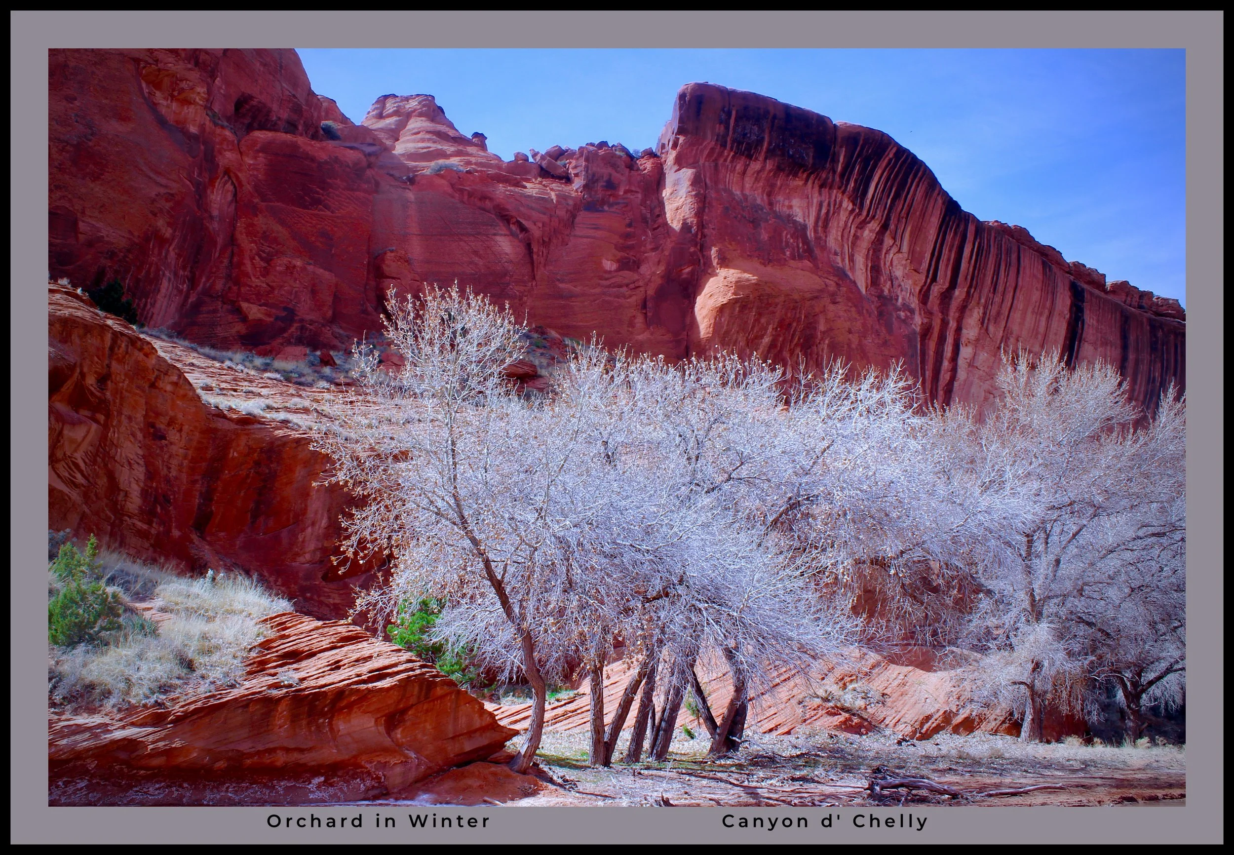 IMG_0005 (1) logo.jpg