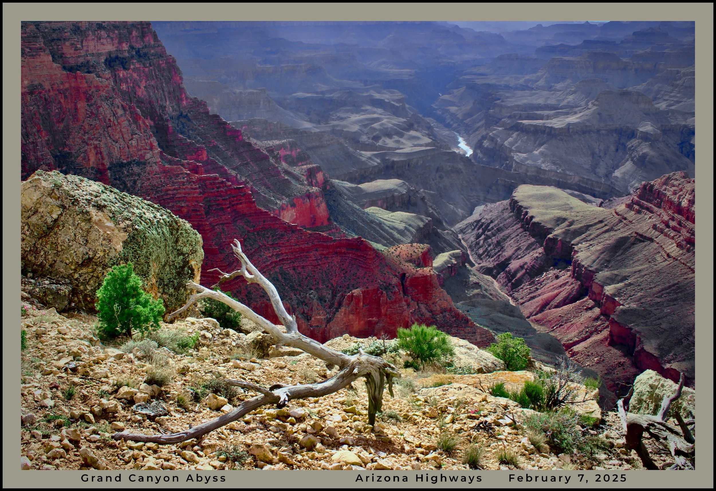 IMG_4207 (22) logo.jpg