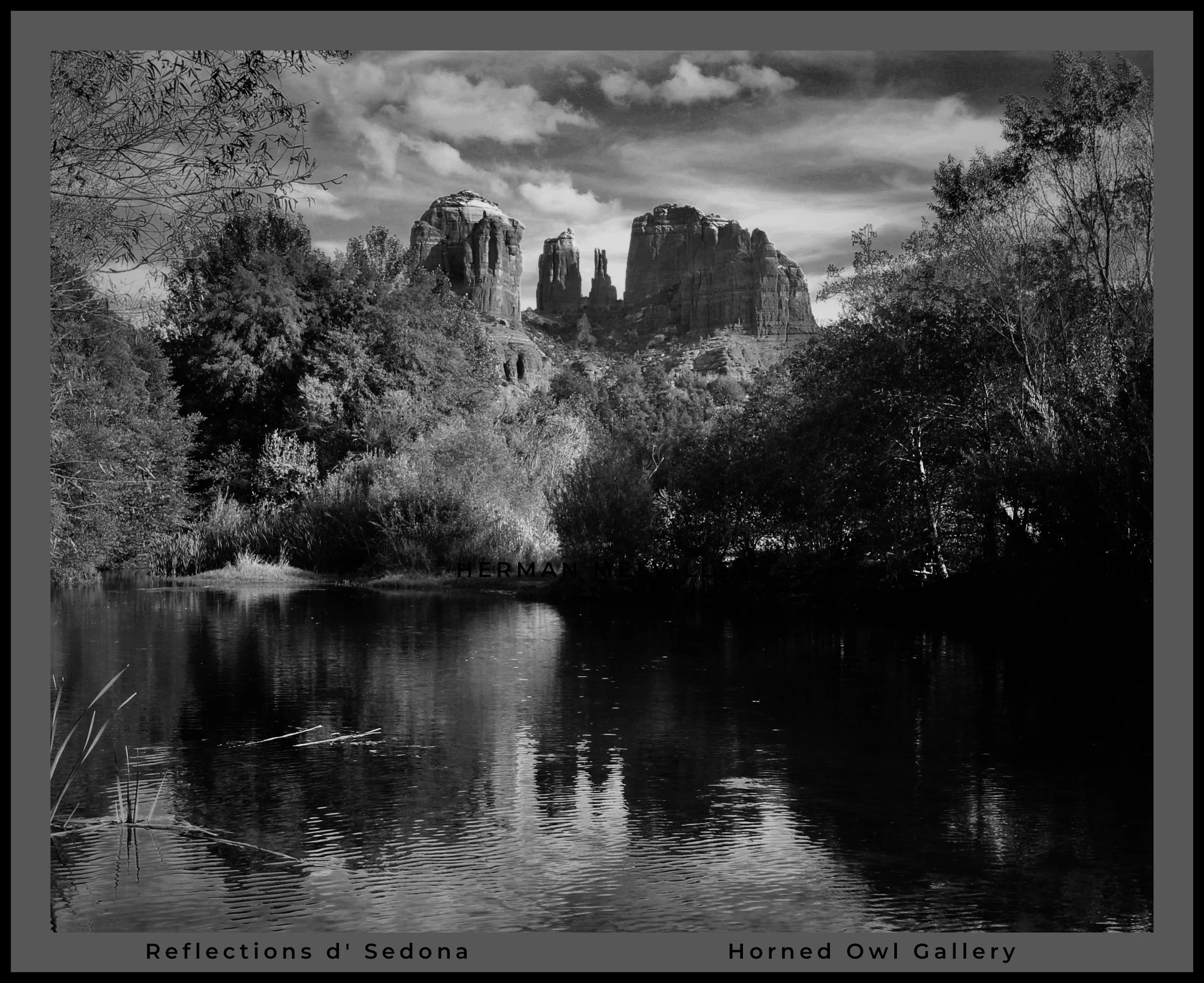 IMG_2996 (1) logo.jpg