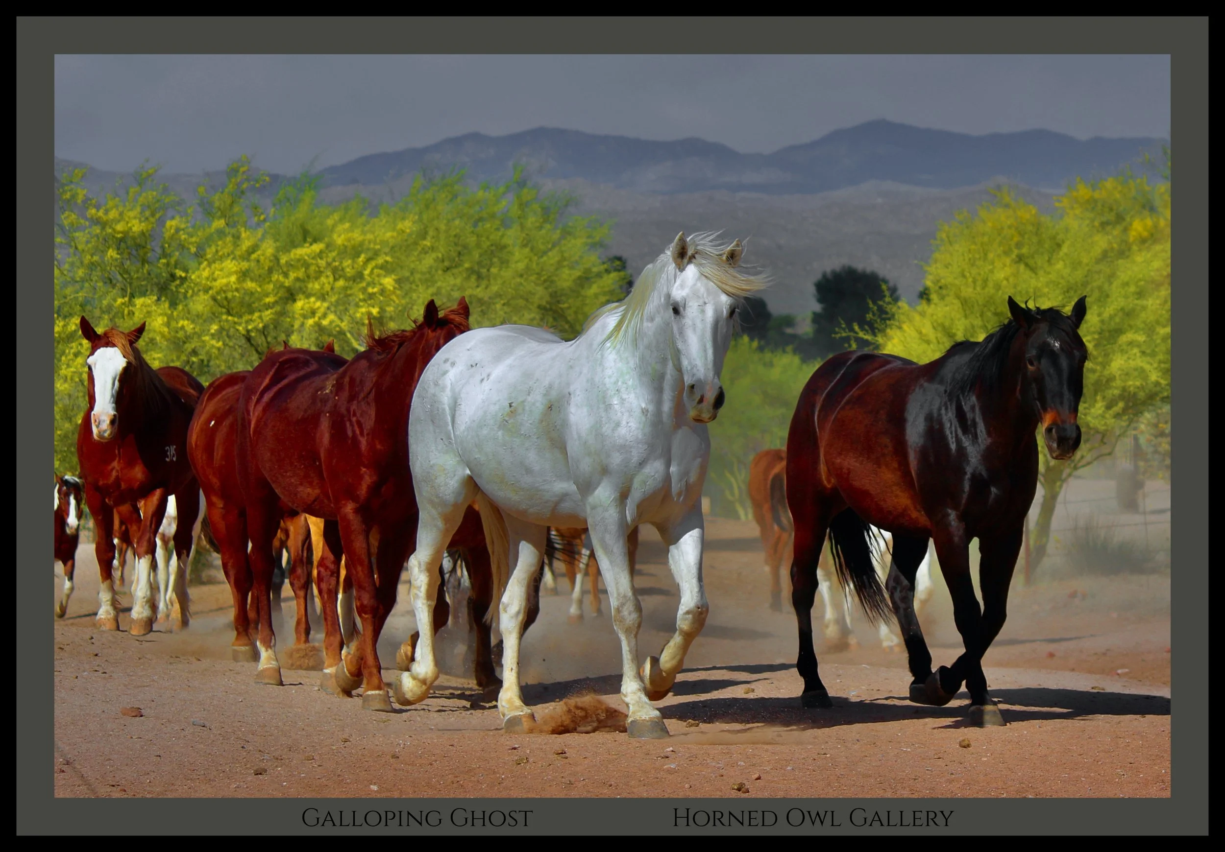 IMG_3071 (3) master logo.jpg