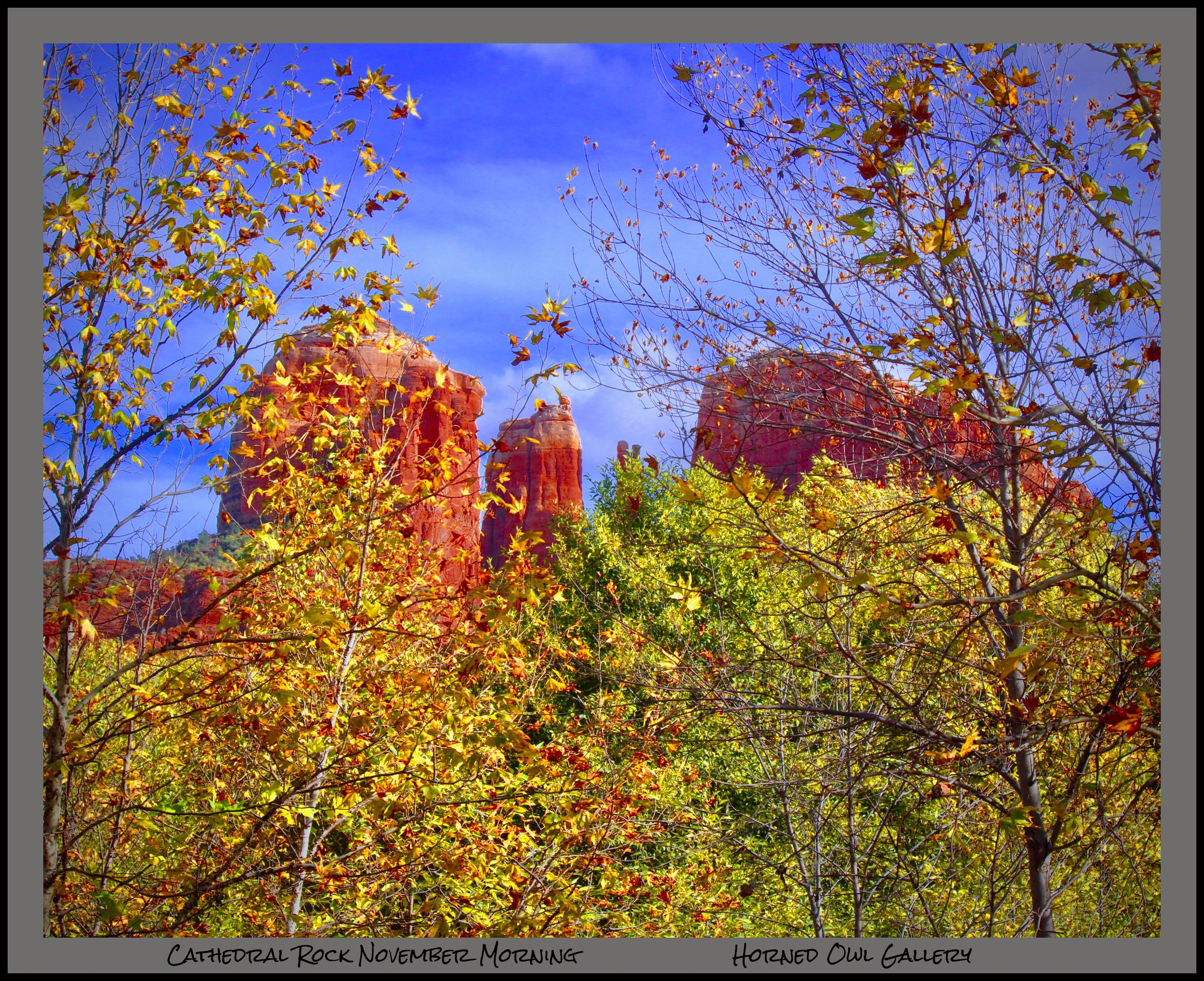 IMG_2886 (3) logo.jpg