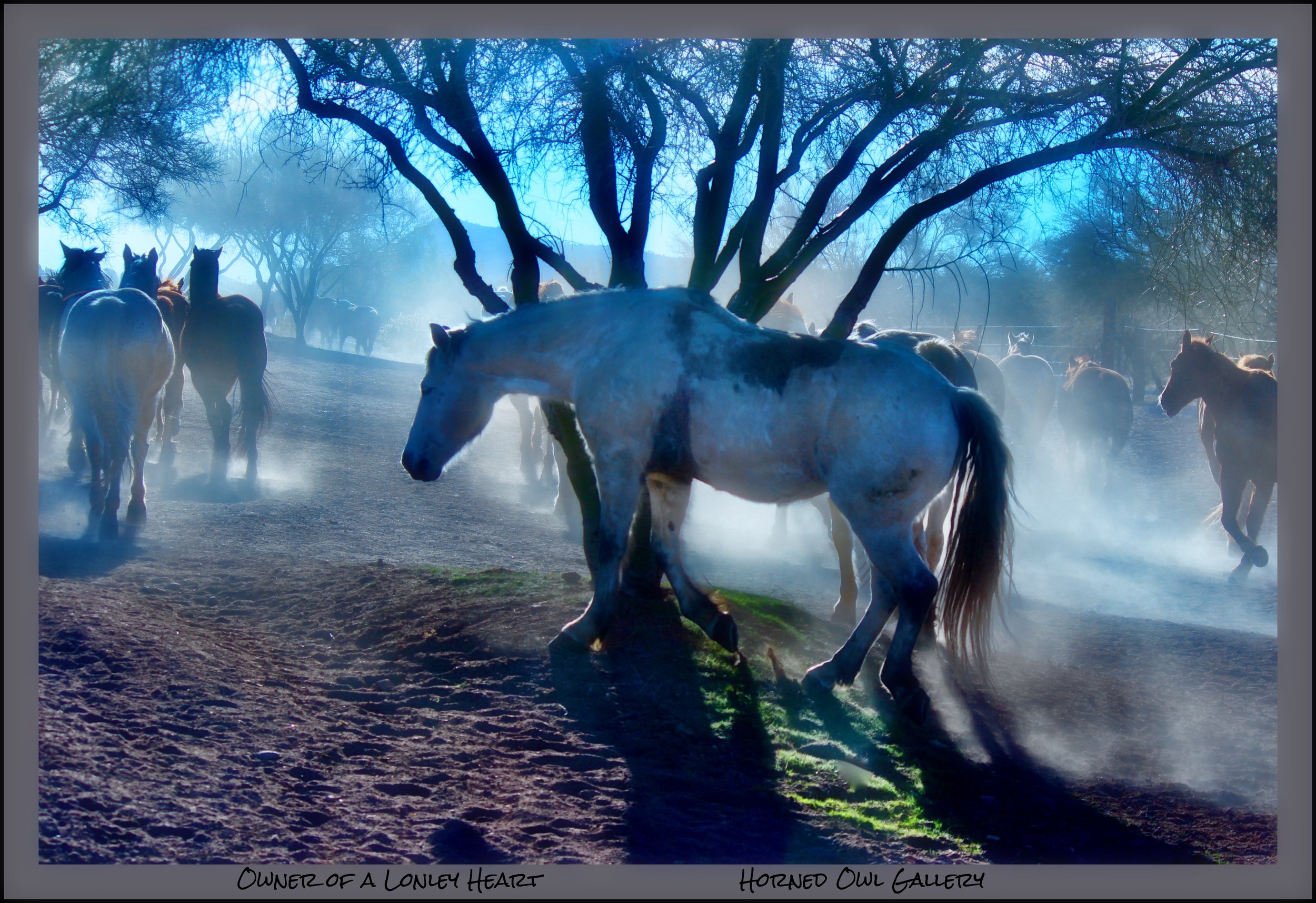 IMG_8012 (8) master logo.jpg