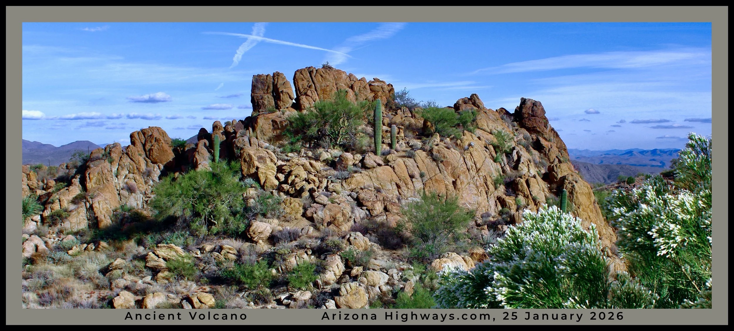 IMG_5993 (5) logo-3.jpg