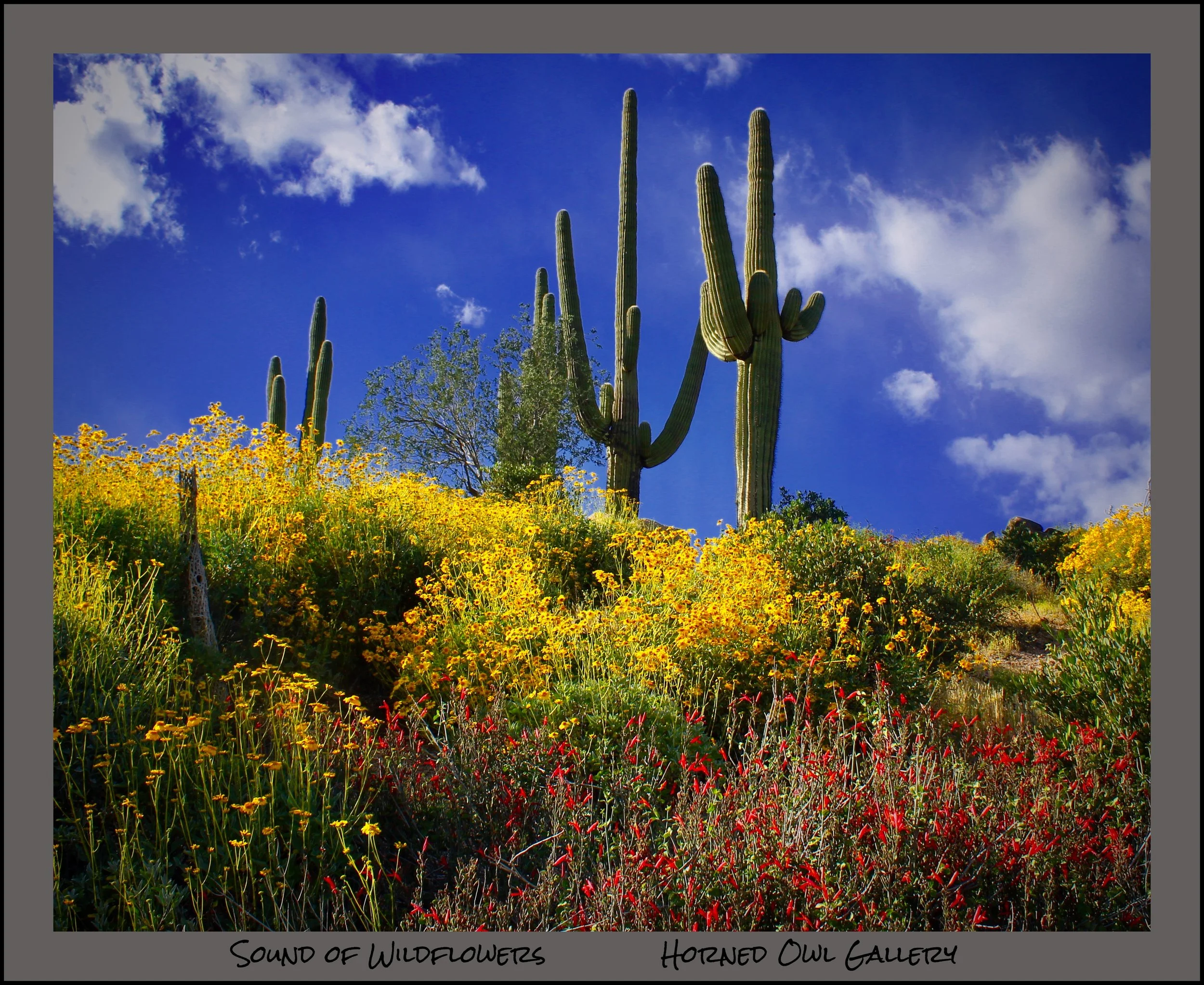 IMG_7392 (3) logo.jpg