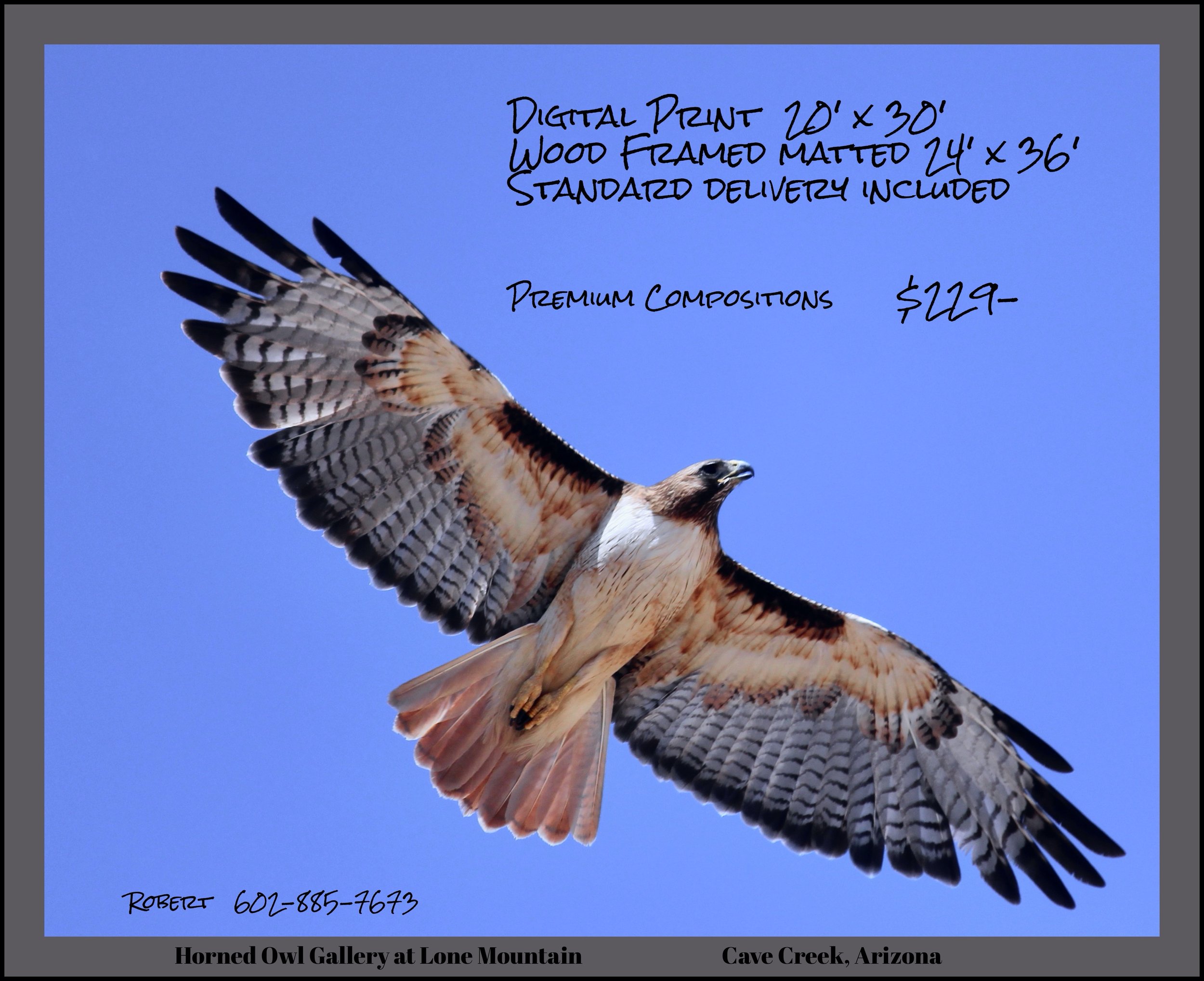 IMG_8456 (3) logo $229-2.jpg