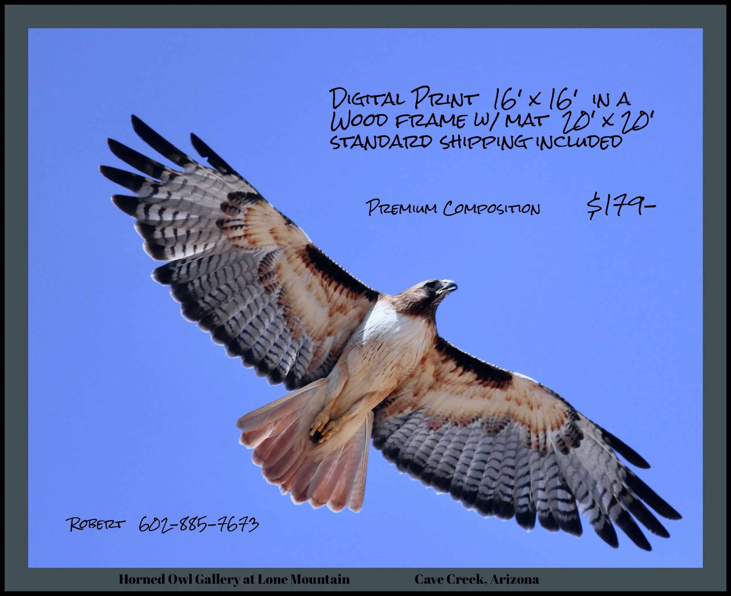 IMG_8456 (3) logo $179-2.jpg