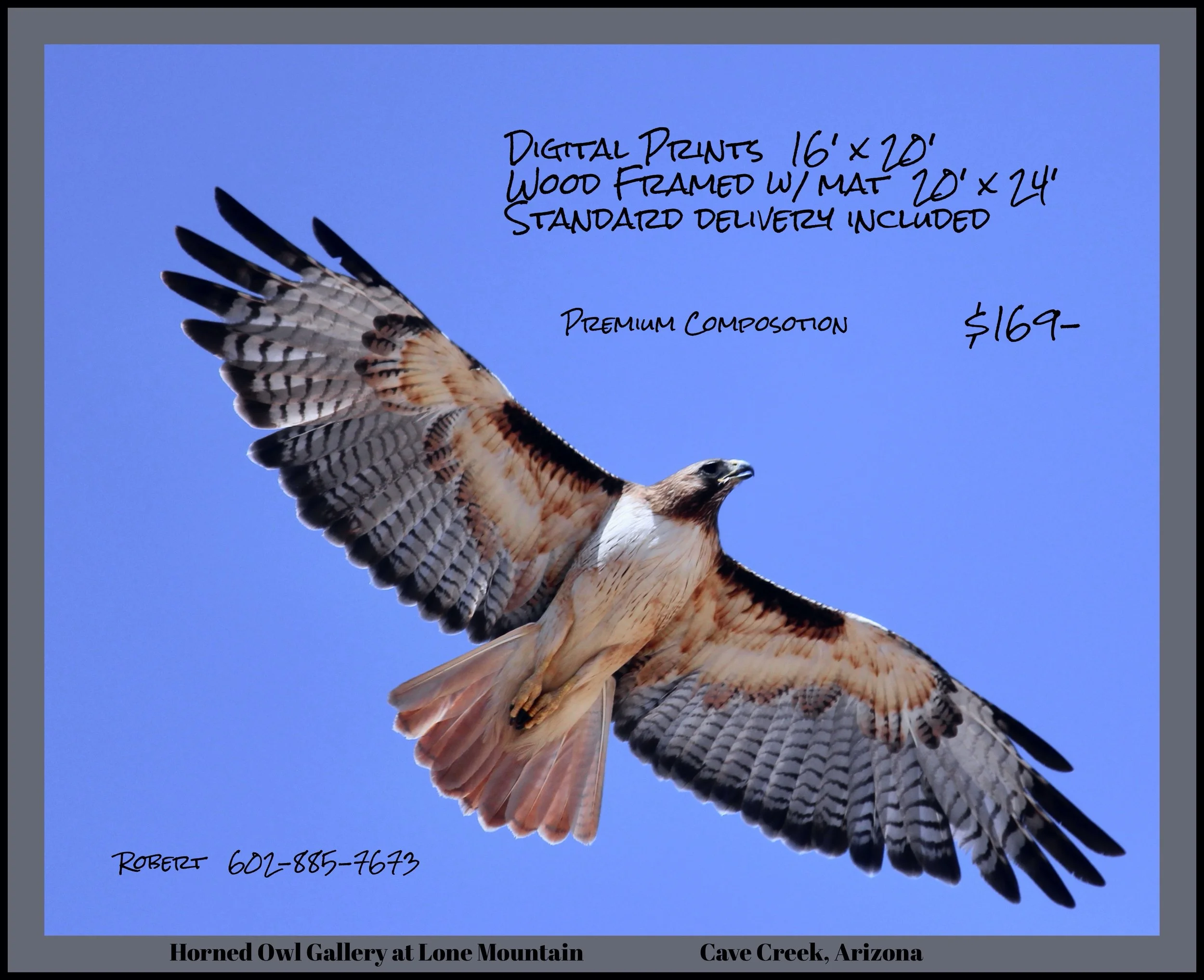 IMG_8456 (3) logo $169-2.jpg