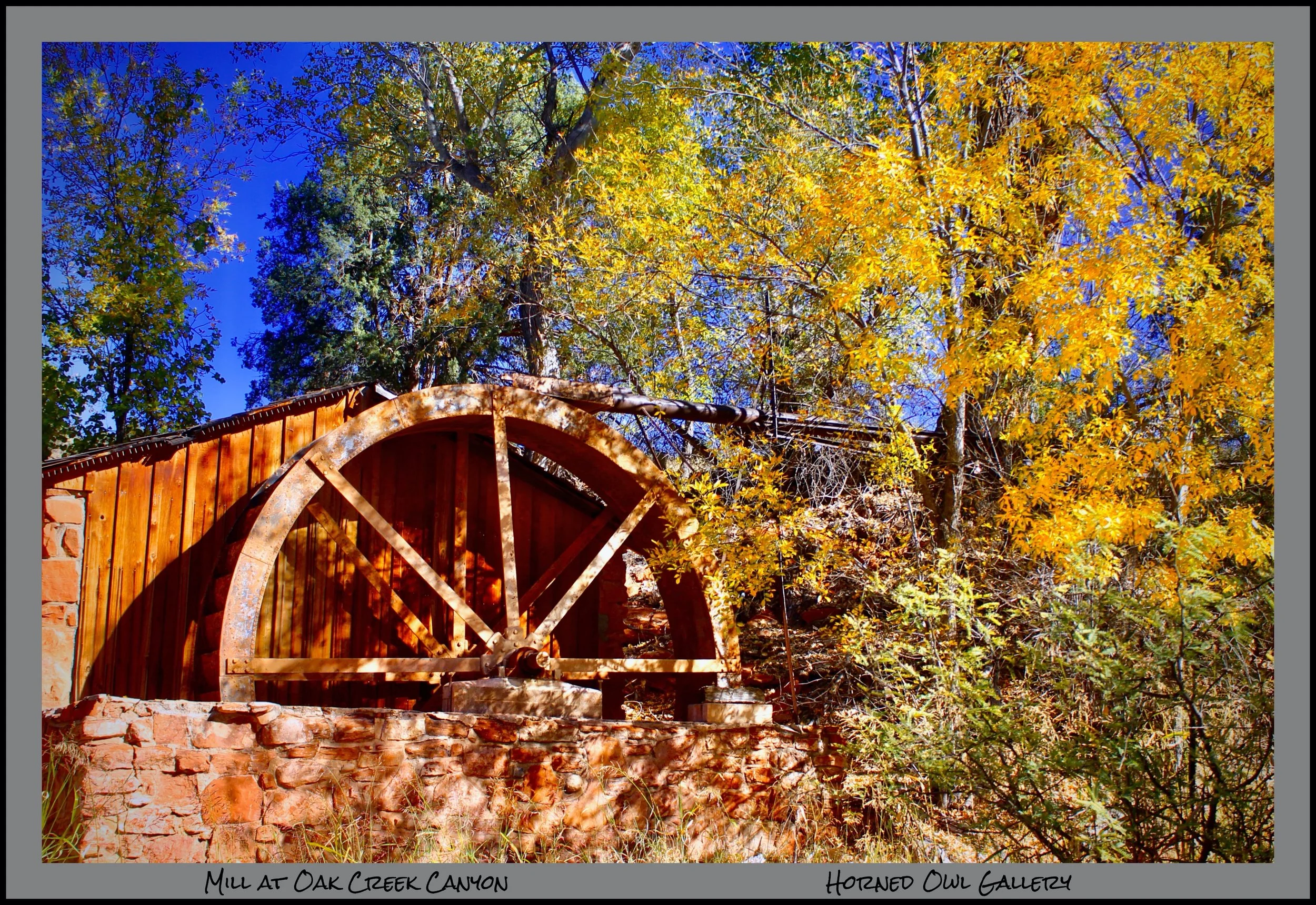 IMG_9900 (1) master logo-2.jpg