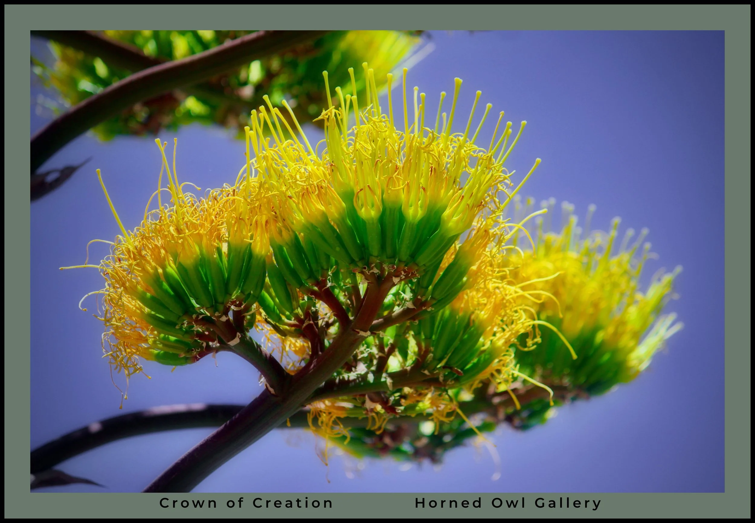 IMG_2480 oil logo-2.jpg