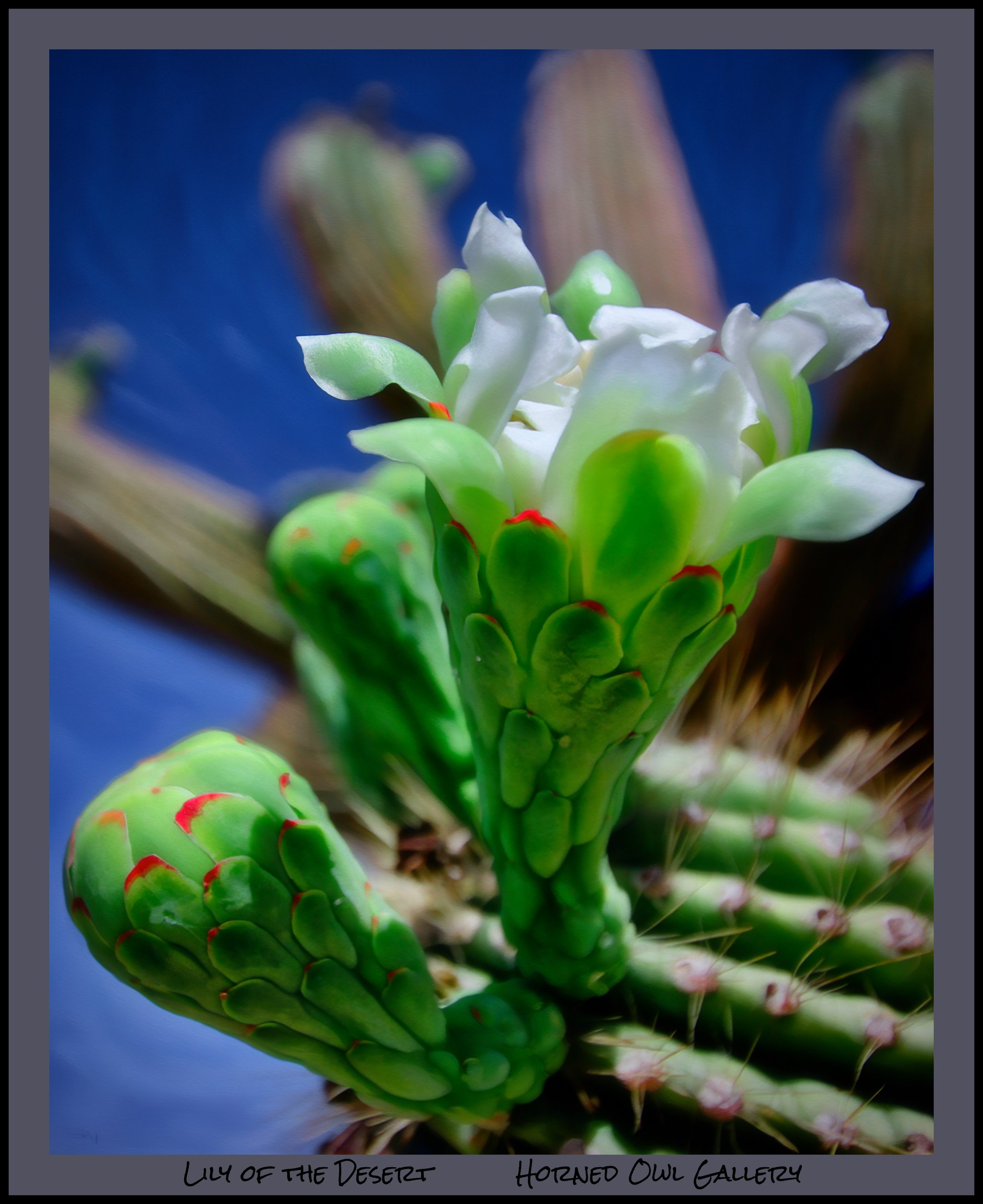 IMG_6476 master logo.jpg