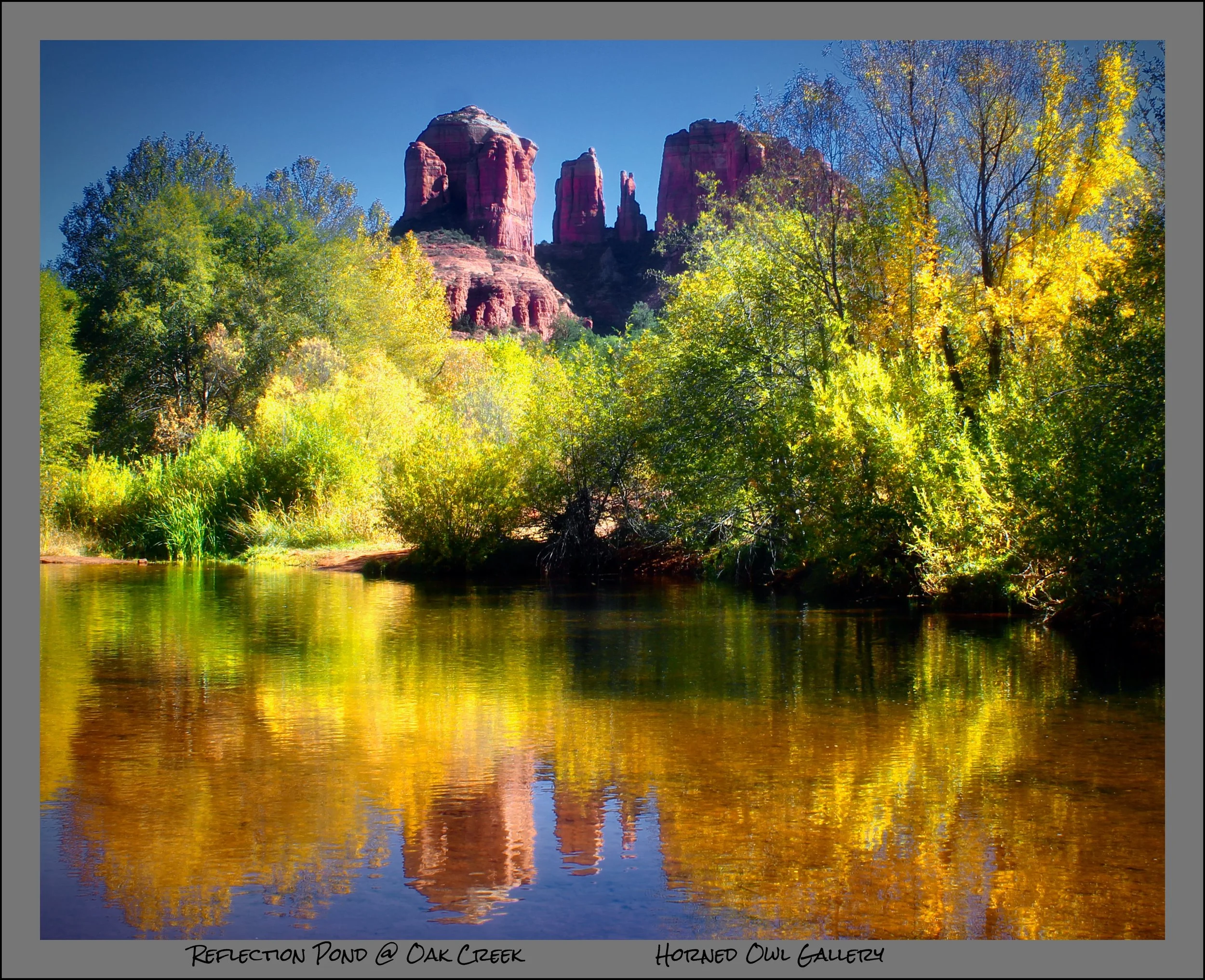 IMG_0175 (2) logo.jpg