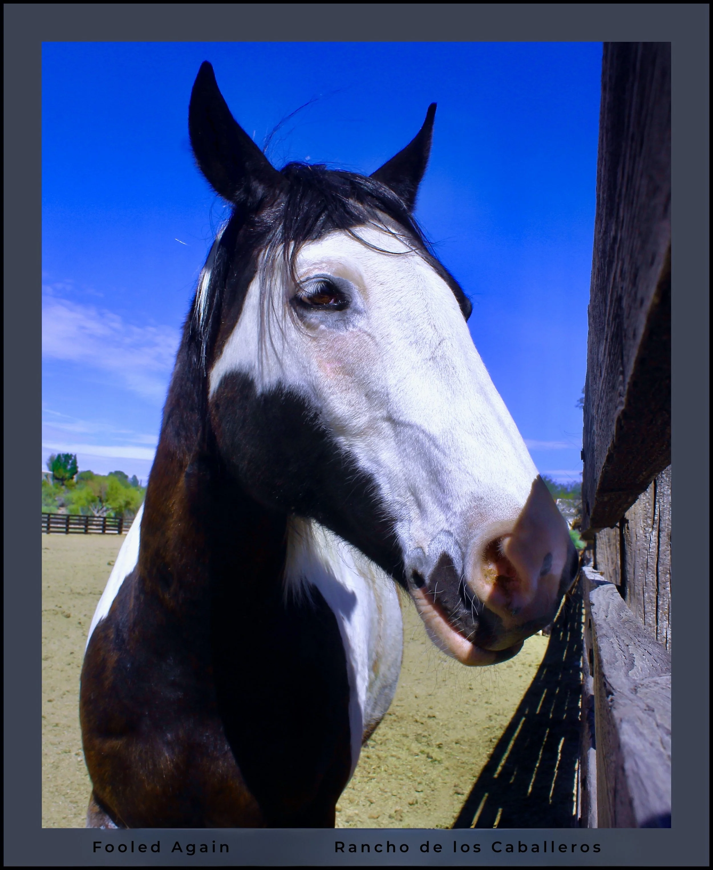 IMG_3001 (2) logo-2.jpg