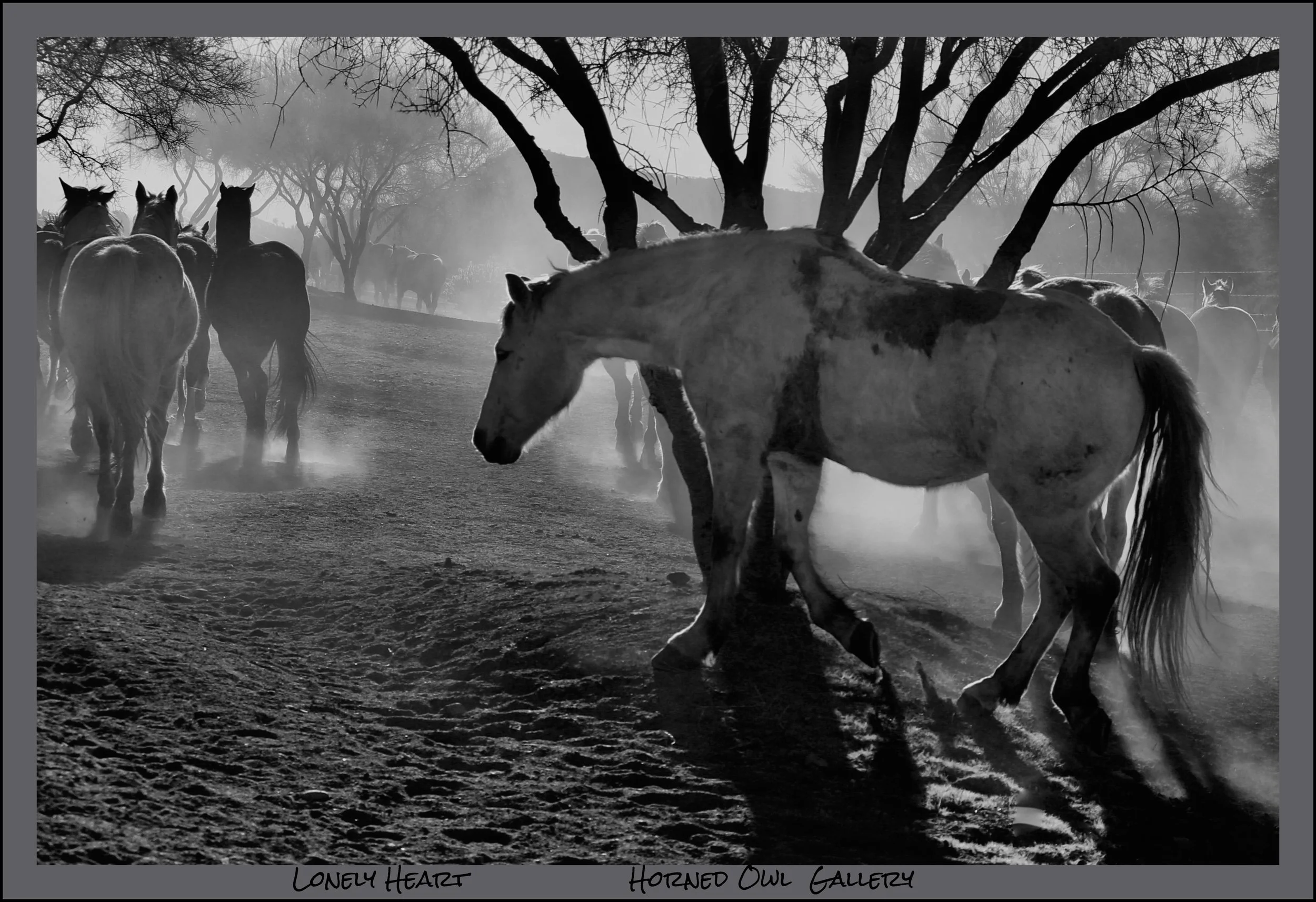 IMG_8012 (1) logo.jpg