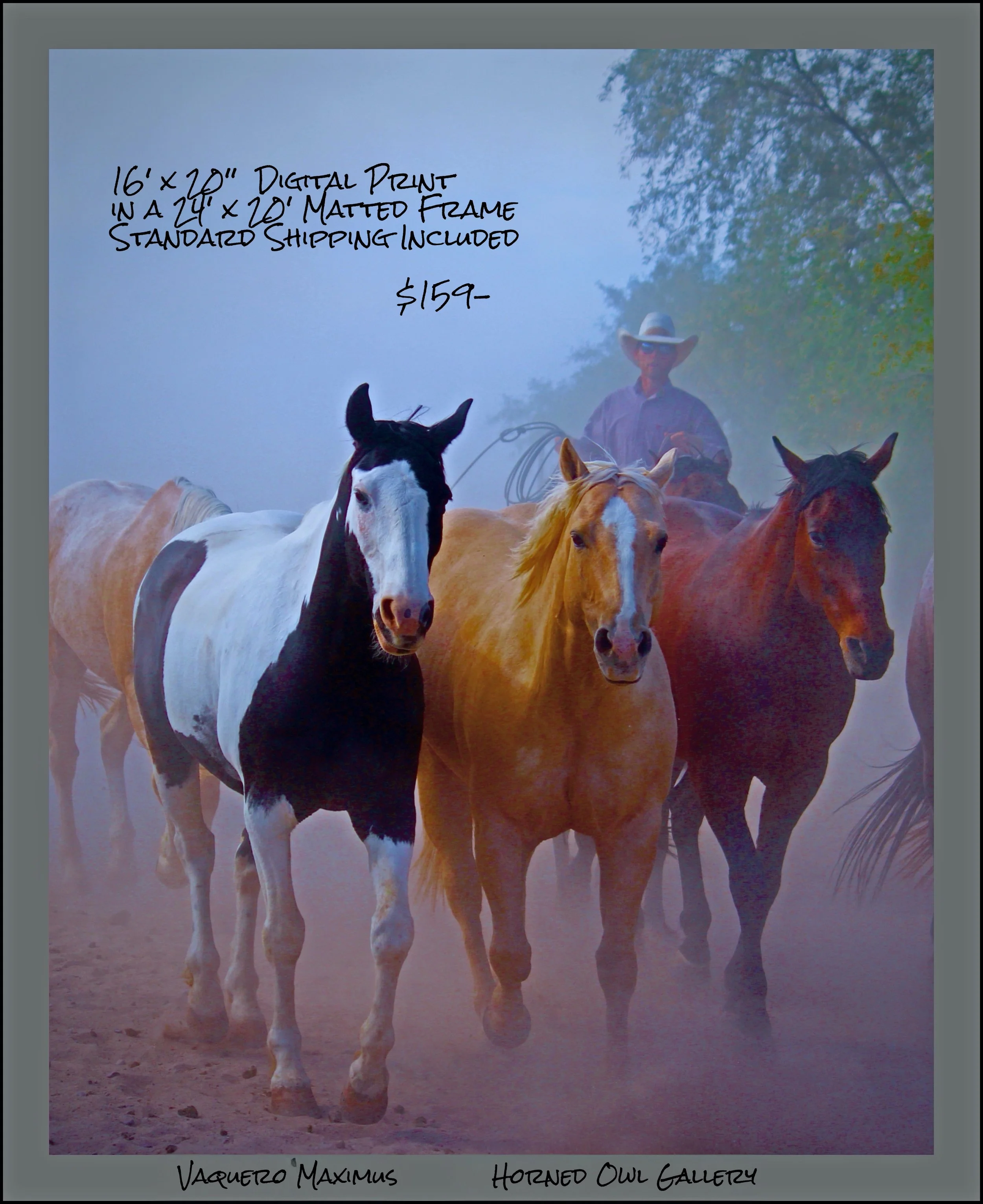 IMG_8704 master logo 159-.jpg