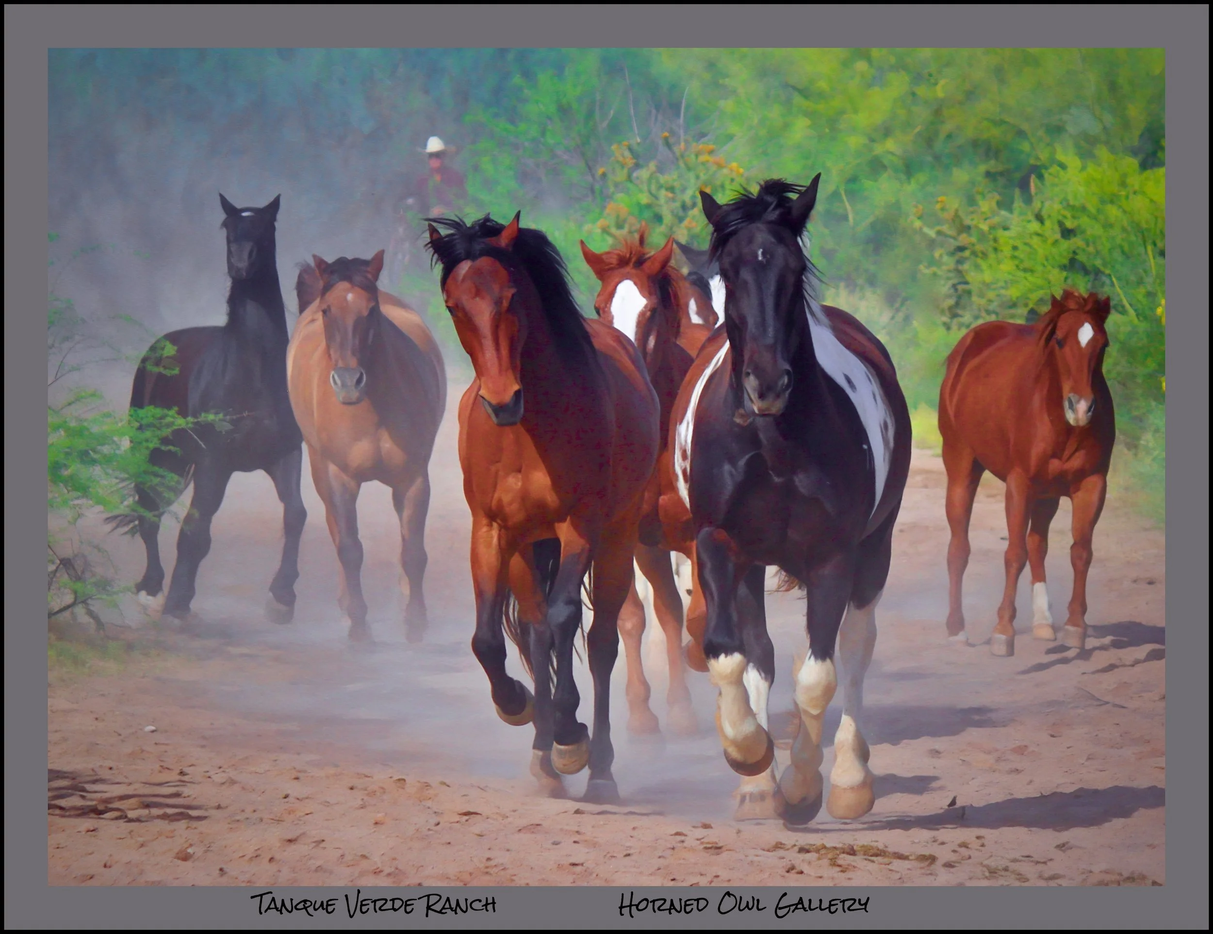 IMG_1660 master logo.jpg