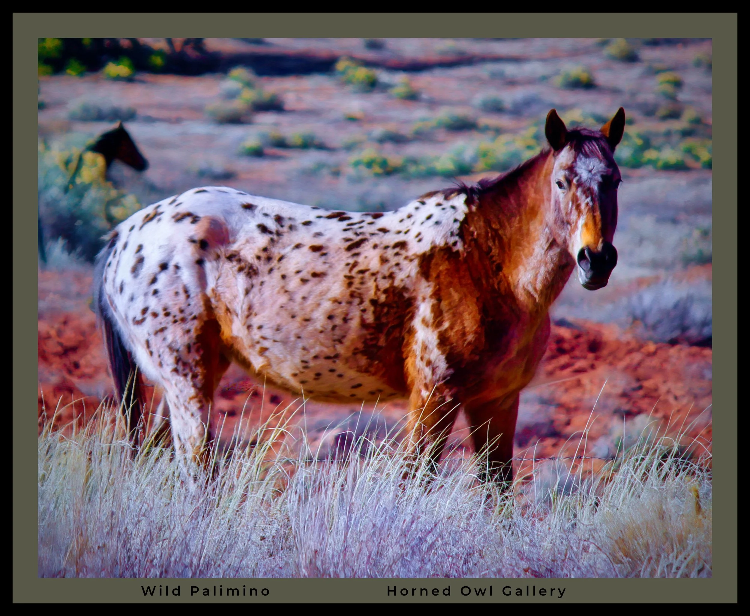 IMG_4724 (3) logo.jpg