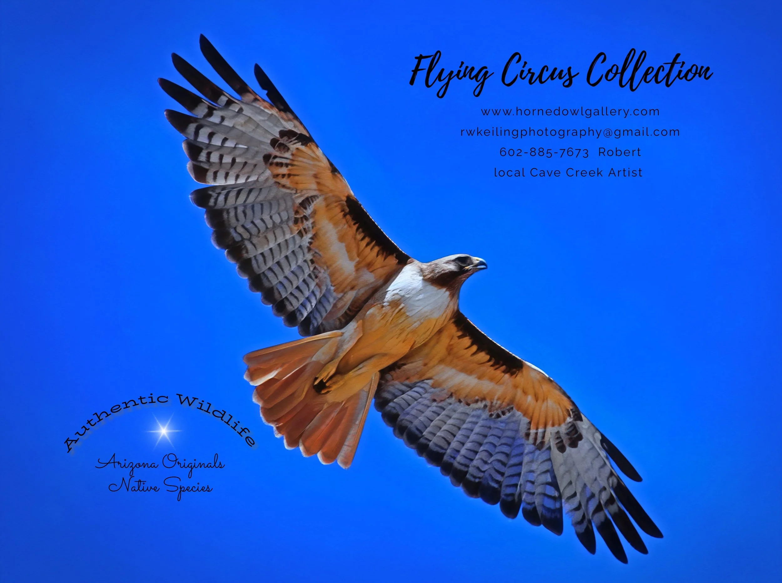 IMG_8456 (23) oil master flying cover.jpg