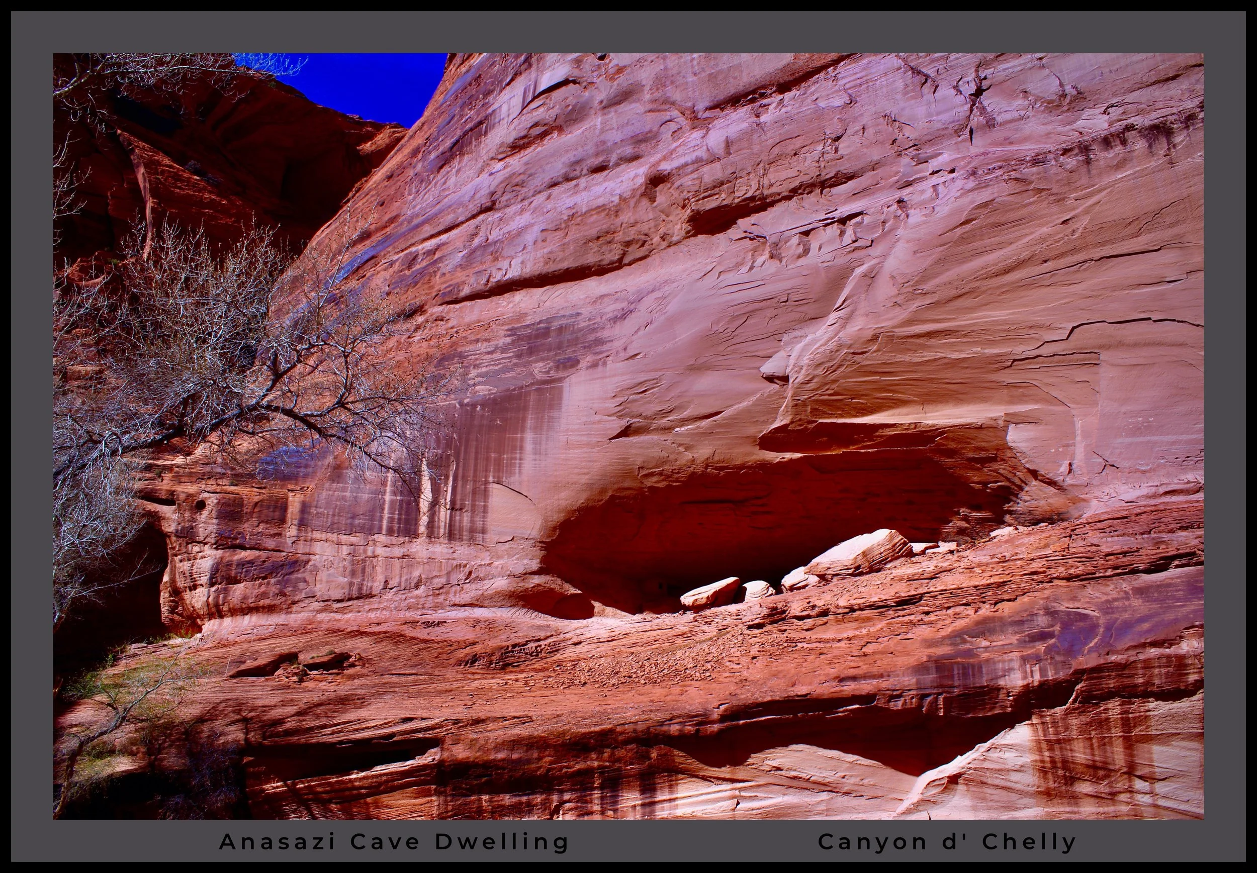 IMG_0445 (6) logo.jpg