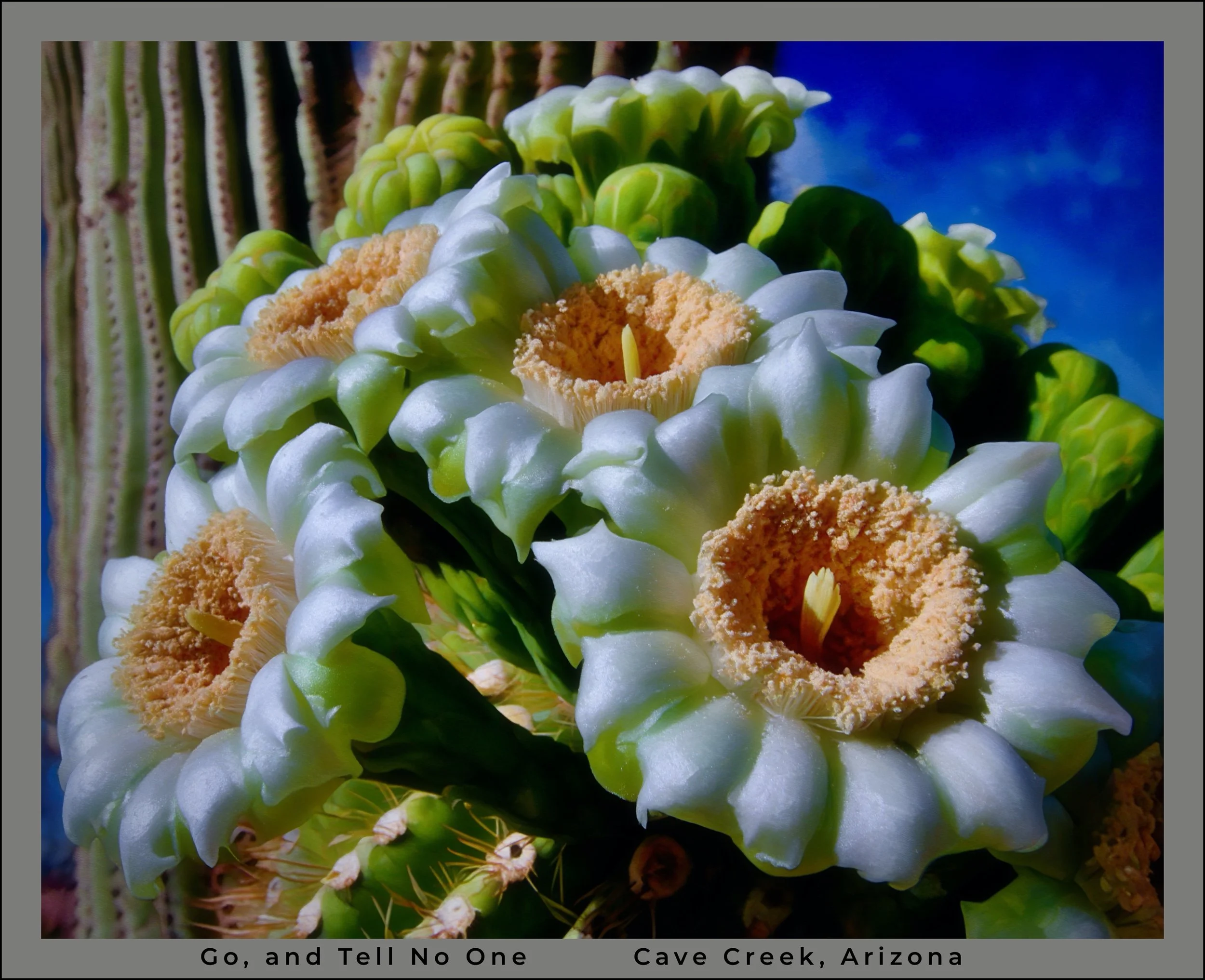 IMG_6625 oil logo.jpg